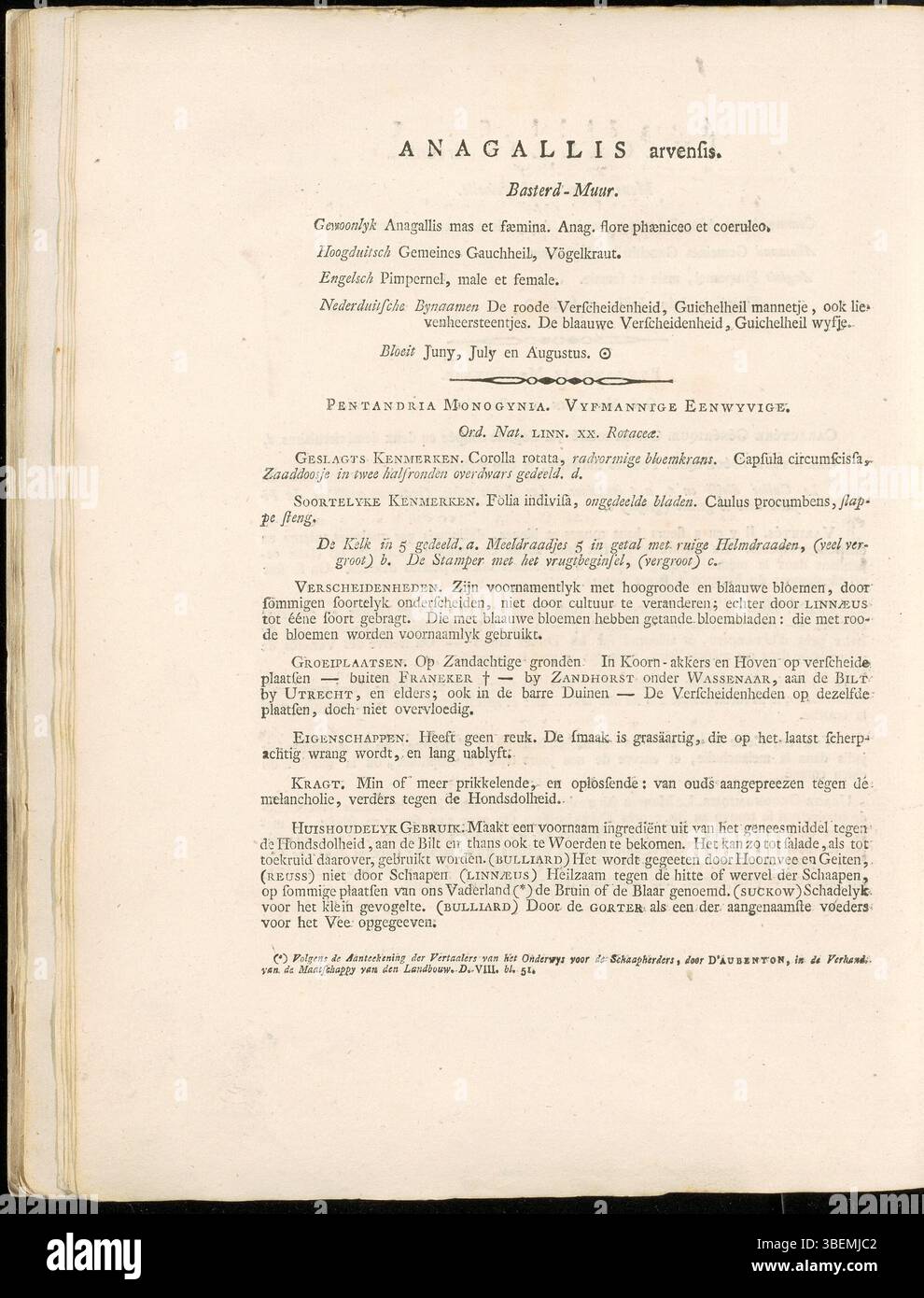Anagallis arvensis, identifié comme Anagallis arvensis subsp. Arvensis, est une plante à fleurs commune décrite dans Flora Batava de Jan Kops de 1800. La planche 0003 détaille les fleurs bleues distinctives de la plante et les conditions de croissance. Le travail de Kops était essentiel pour les études botaniques aux pays-Bas. Banque D'Images