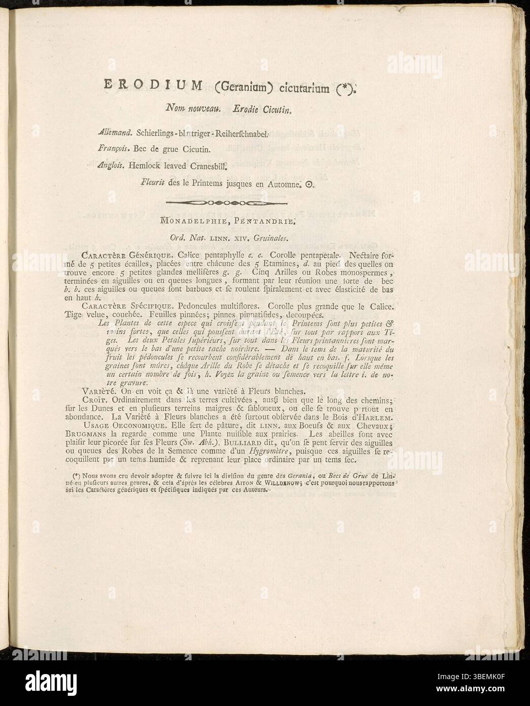 Cette plaque (0028) de Jan Kops illustre *Erodium cicutarium*, également connu sous le nom de Geranium cicutarium, un membre de la famille des géranium. La représentation fait partie de Flora Batava de Kops, créée en 1800, mettant en valeur les caractéristiques distinctives de la plante. Banque D'Images