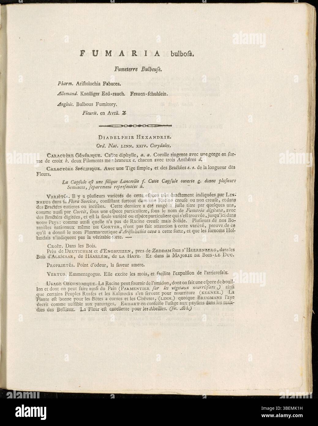 Cette illustration botanique de Jan Kops de 1800 montre Fumaria bulbosa, une plante maintenant classée Corydalis solida. La description met en évidence ses fleurs et caractéristiques distinctives. Kops était connu pour ses illustrations détaillées de plantes dans la série Flora Batava. Banque D'Images
