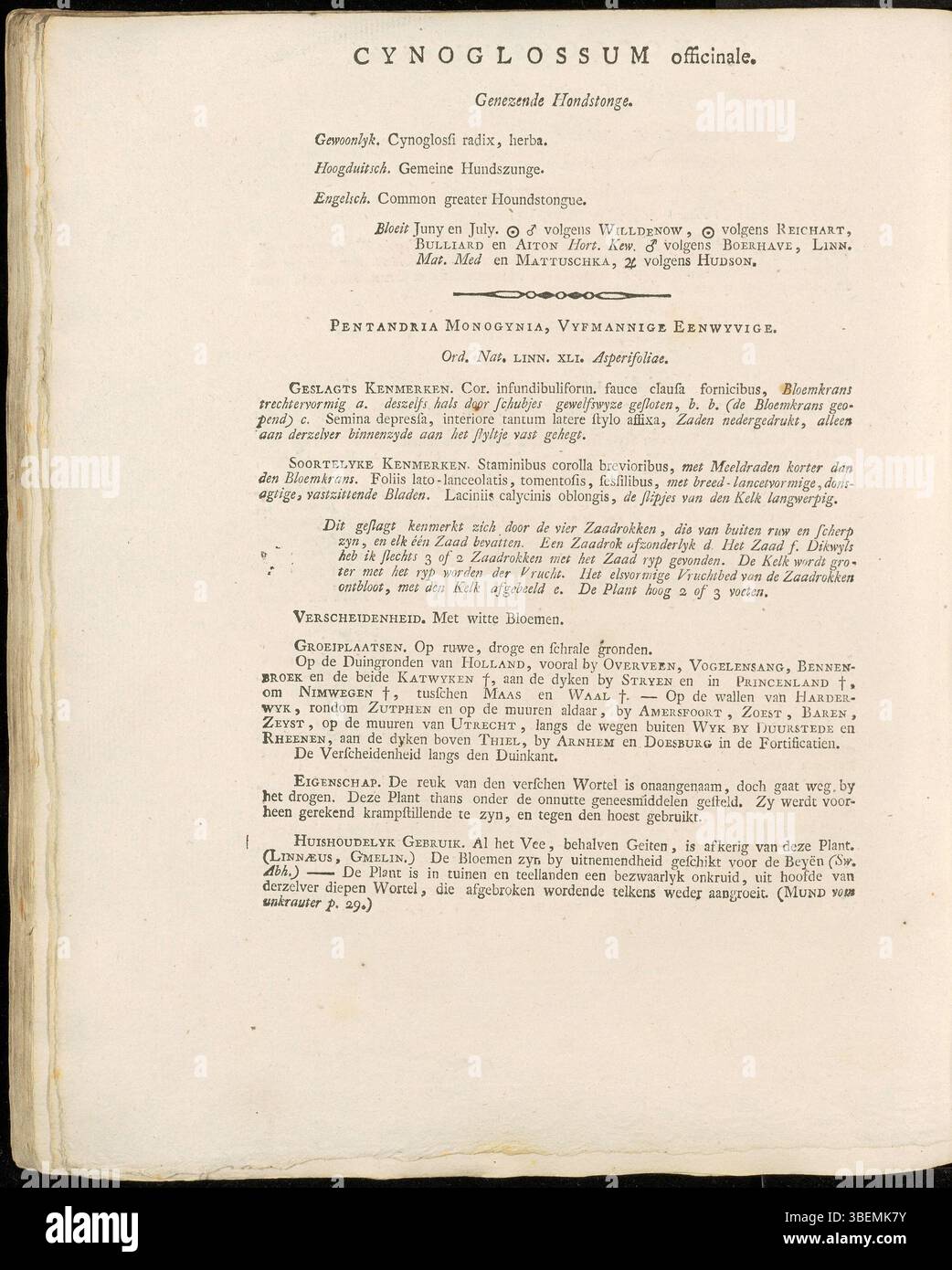 Cette illustration de 1800 de *Cynoglossum officinale*, communément appelée langue de chien, a été créée par Jan Kops. Il est présenté dans *Flora Batava*, détaillant les caractéristiques et la croissance de la plante. Banque D'Images
