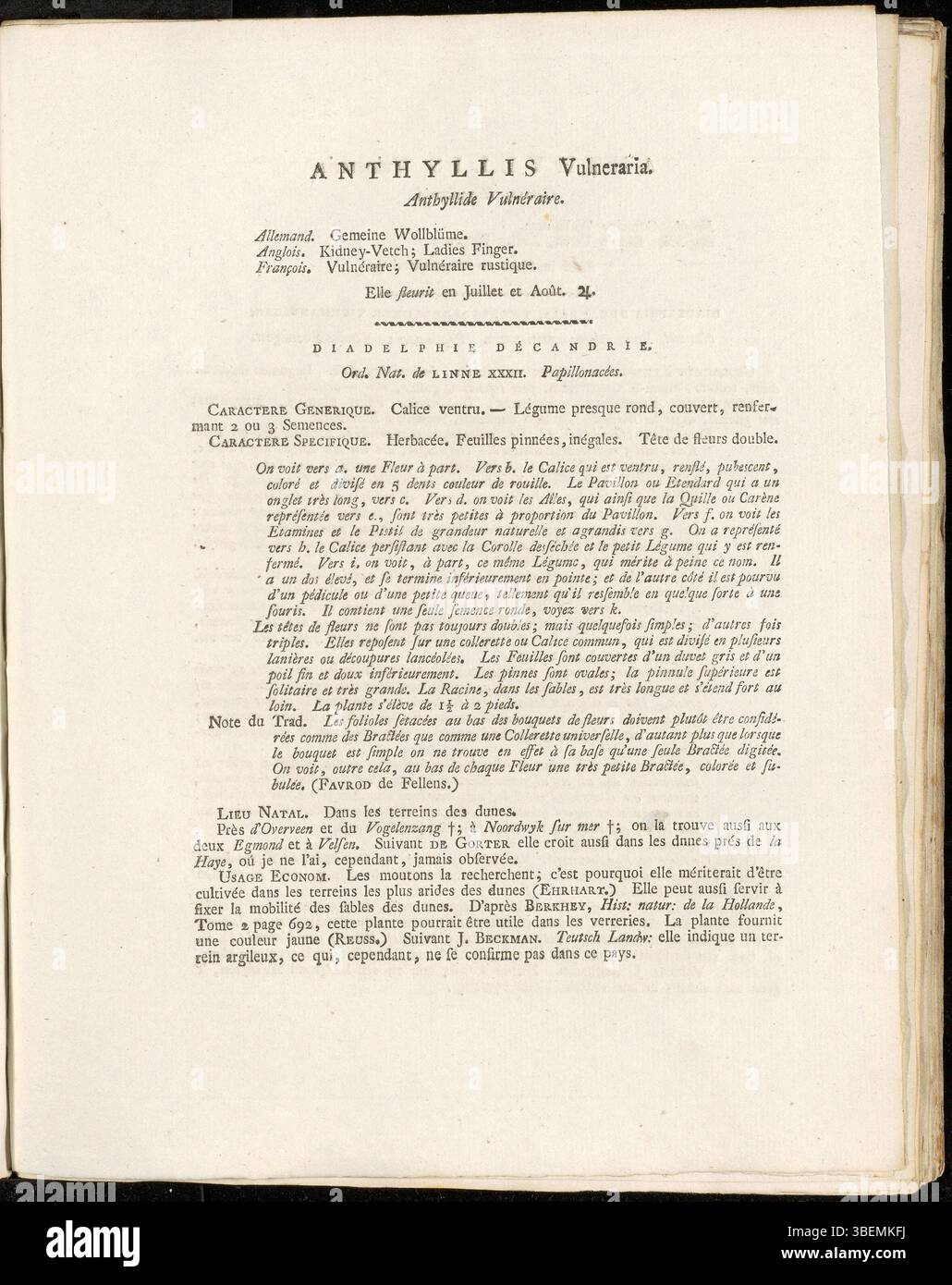 Cette illustration botanique de Jan Kops (1765–1849) représente Anthyllis Vulneraria, également connue sous le nom de vesce commune du rein, de la collection Flora Batava. La plaque, numérotée 0190, met en valeur les fleurs et les feuilles de la plante, fournissant une étude détaillée de sa structure. L'ouvrage a été publié en 1814 et est un exemple significatif des débuts botaniques intégrés Banque D'Images