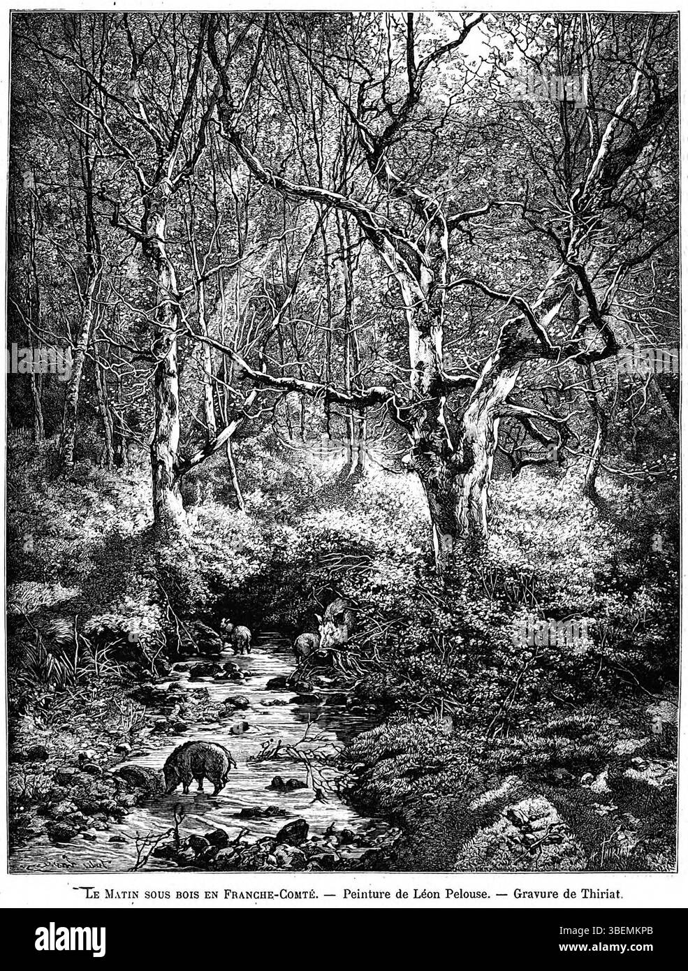 'Le matin sous bois en Franche-Comté' de Léon Germain pelouse, créé en 1888, dépeint une scène forestière sereine en Franche-Comté. La gravure, exposée au salon de Paris de 1888 et à l’exposition universelle de 1889, capture la tranquillité du paysage naturel. Banque D'Images