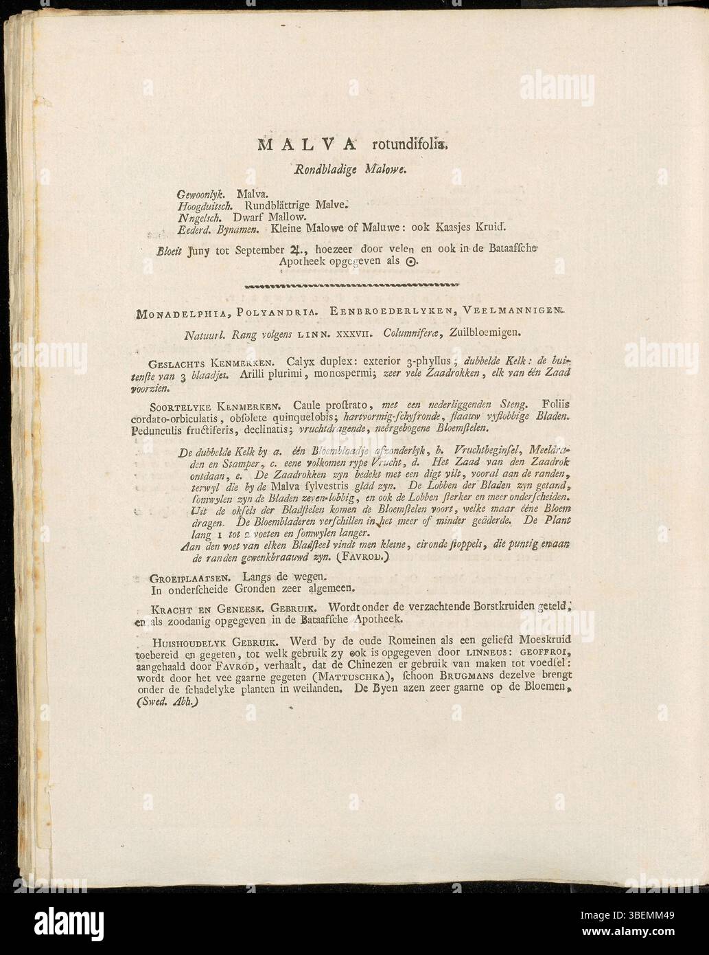 L'illustration botanique de Jan Kops de 1807 représente *Malva rotundifolia*, maintenant *Malva negecta*, communément appelée mauve à feuilles rondes, montrant sa structure foliaire et ses habitudes de floraison. Banque D'Images