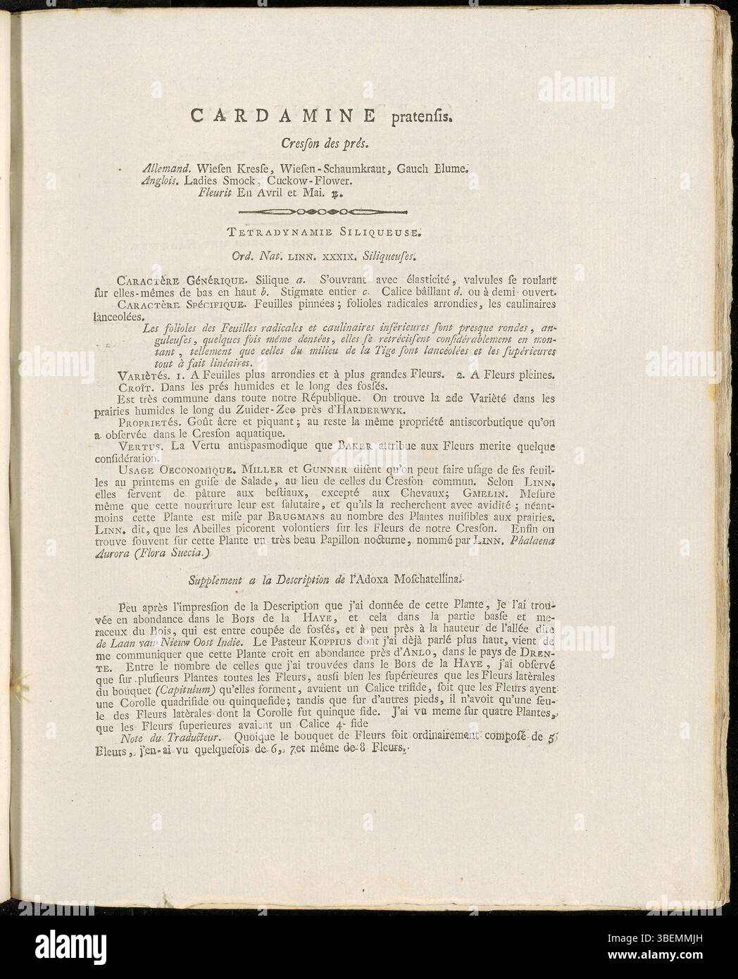 Cette plaque botanique (0027) de Jan Kops présente *Cardamine pratensis*, une espèce de plante à fleurs. L'illustration a été créée au début du XIXe siècle, montrant la représentation détaillée de la plante dans le cadre de l'œuvre complète Flora Batava de Kops. La date de création est 1800. Banque D'Images
