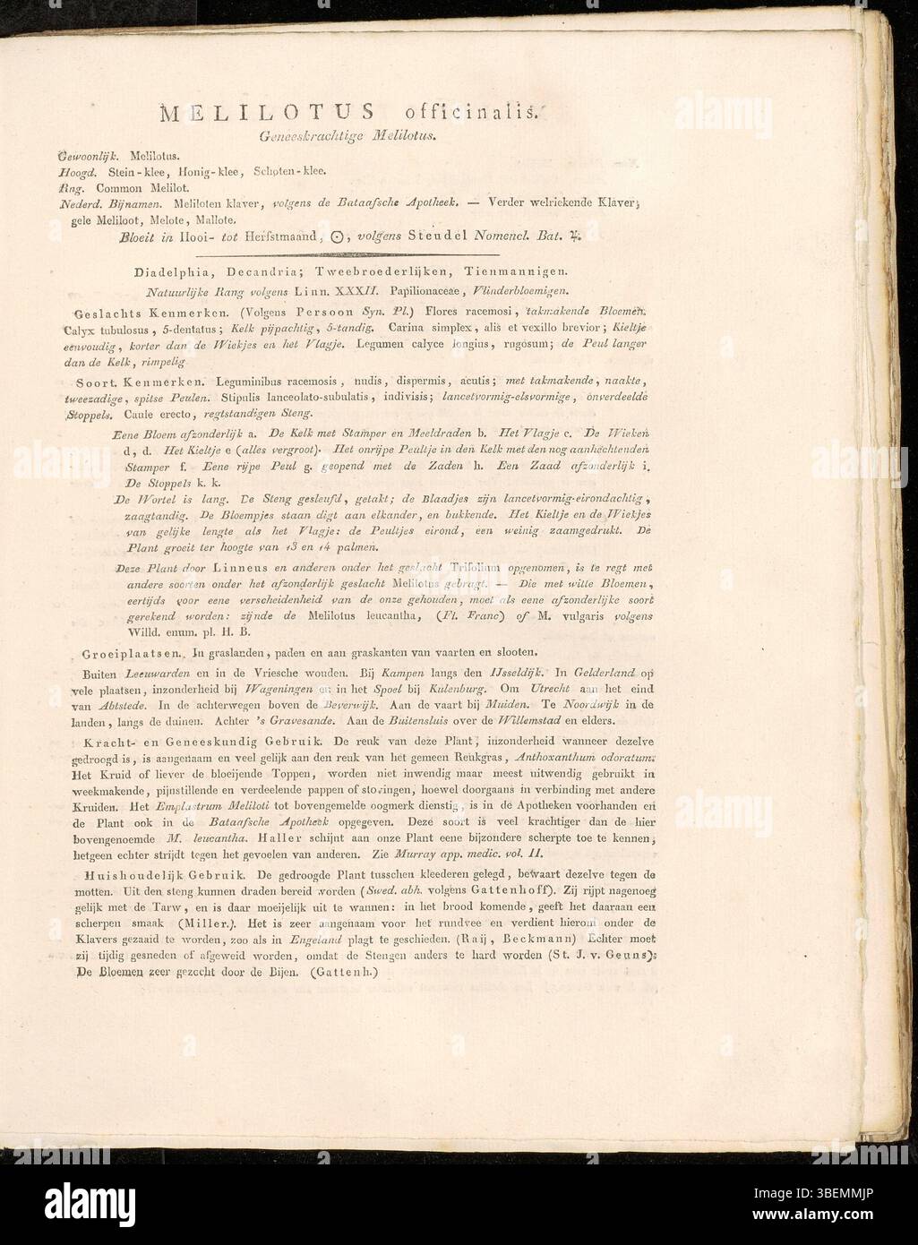 Cette plaque de 1822 (0319) de Jan Kops fournit une description botanique détaillée de *Melilotus officinalis*, communément appelé trèfle doux. Le travail fait partie de la série *Flora Batava*, mettant en évidence les caractéristiques botaniques de l'espèce et son importance dans la flore européenne. Banque D'Images