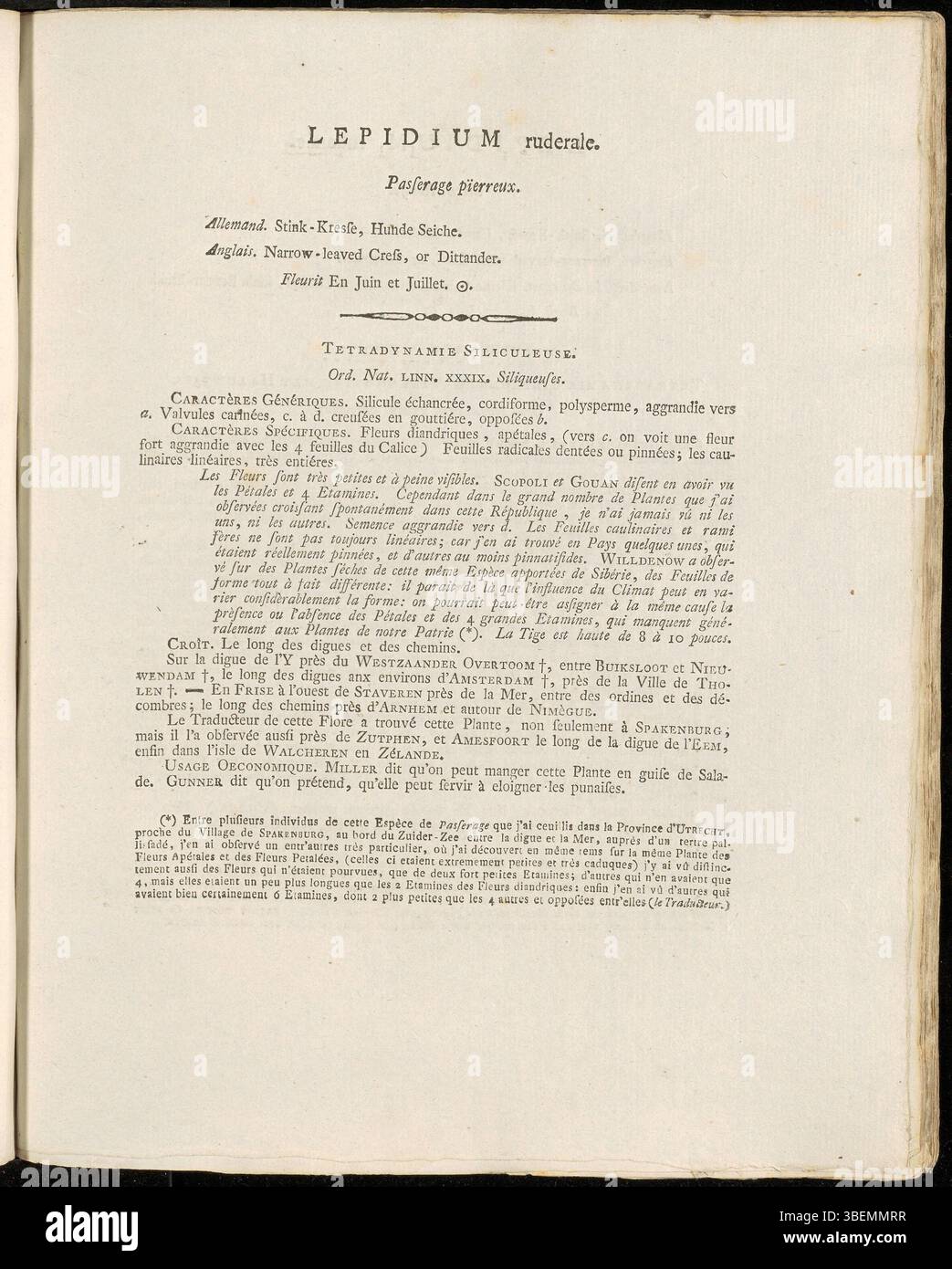 La planche 0045 de Flora Batava de Jan Kops (1765–1849) décrit la plante Lepidium ruderale, également connue sous le nom de poivre rudéral. Originaire d'habitats perturbés en Europe, les caractéristiques et les modes de croissance de la plante sont détaillés dans la description de 1800. Banque D'Images