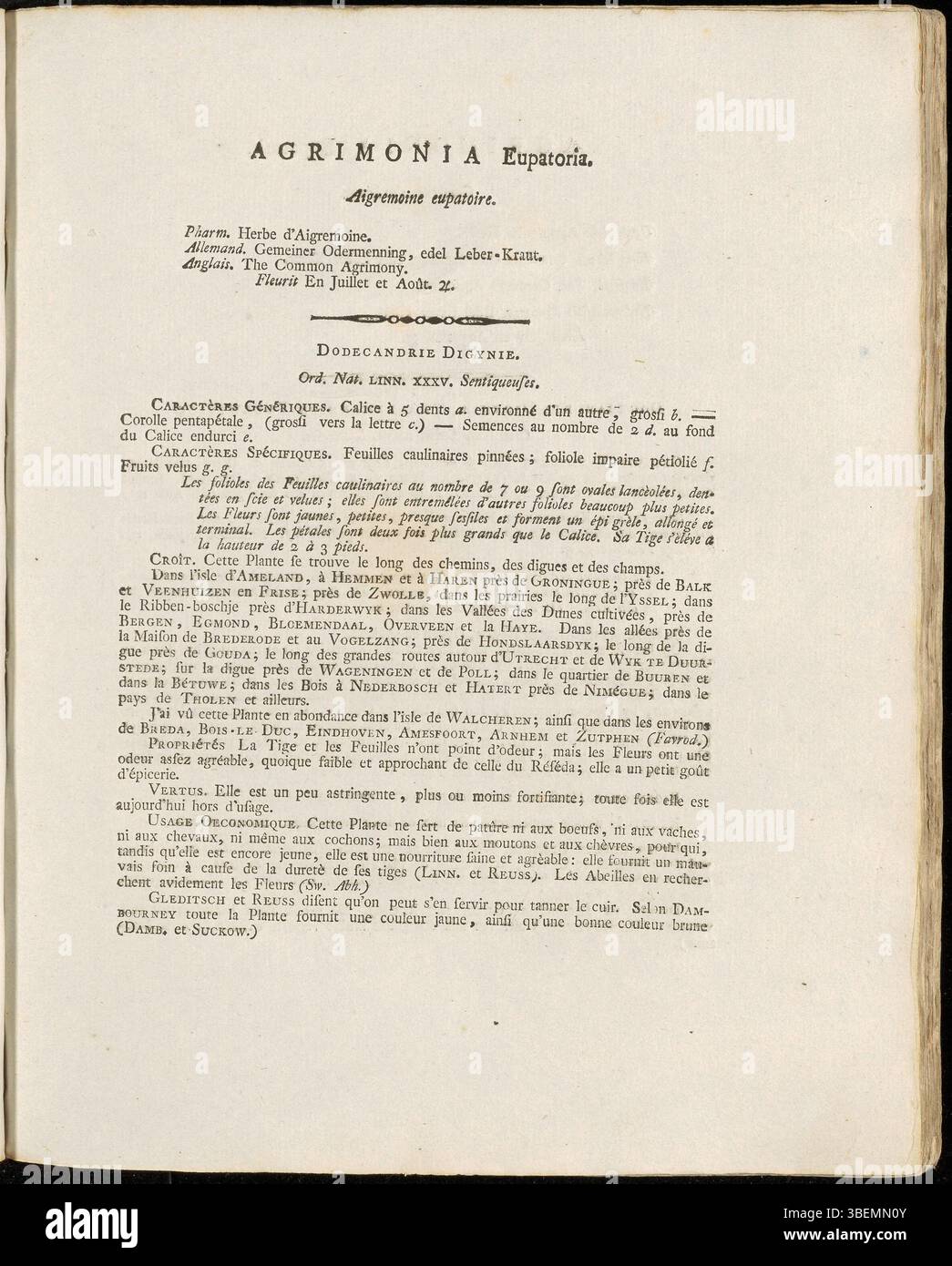 Cette version française de l'illustration botanique de Jan Kops de 1800 présente *Agrimonia eupatoria*, connue sous le nom d'agrimonie, mettant en évidence ses utilisations médicinales et ses fleurs jaunes distinctives. Banque D'Images