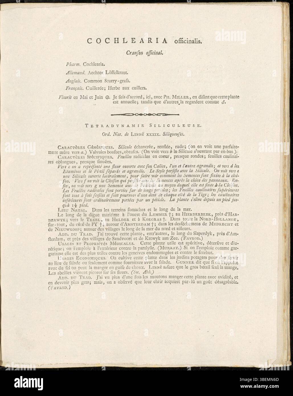 Description française de Cochlearia officinalis (scorbut commun), une plante côtière à fleurs, par Jan Kops en 1807, planche 0108 dans Flora Batava. Banque D'Images
