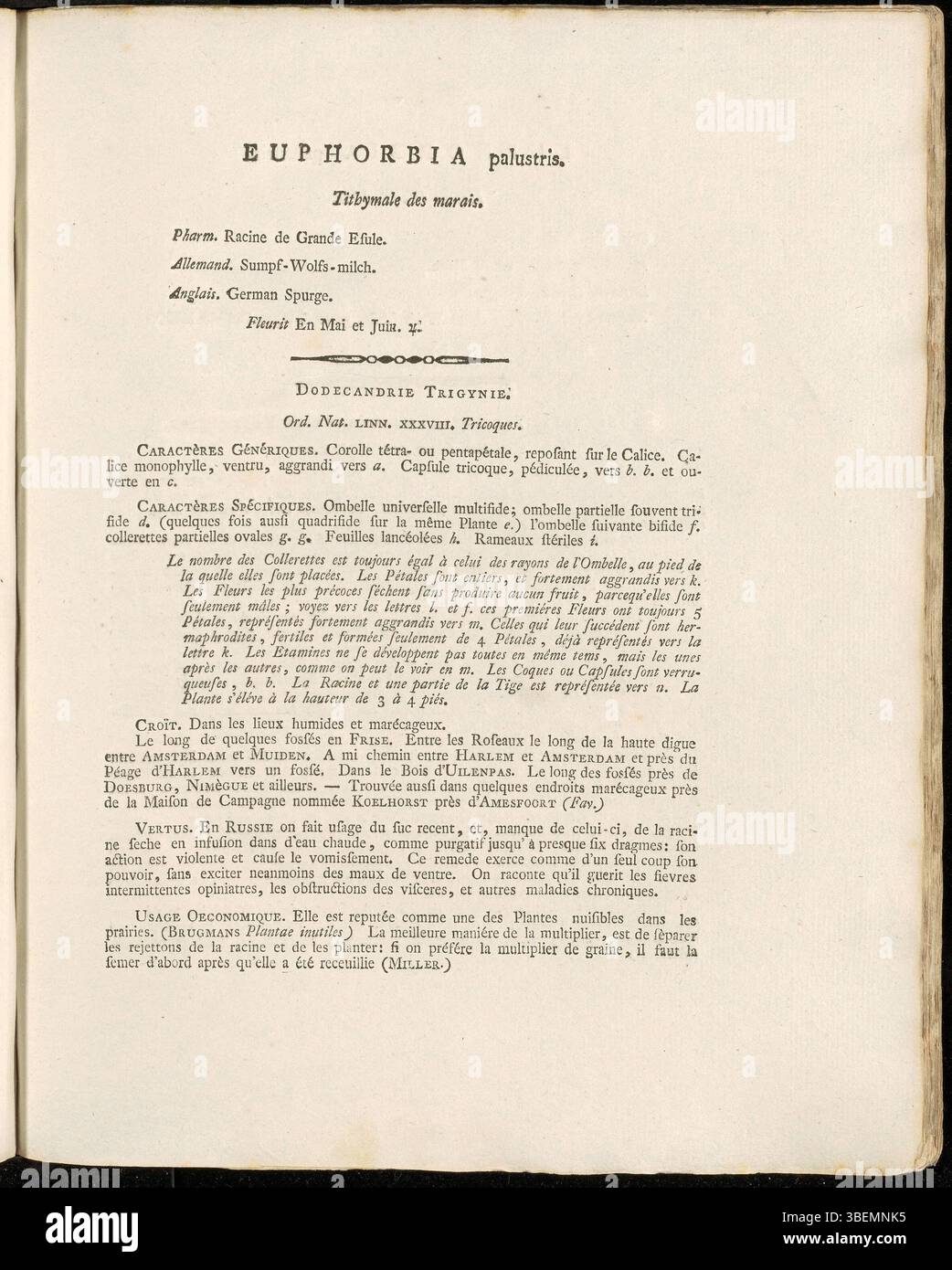 La planche 0044 de Flora Batava de Jan Kops (1765-1849) présente Euphorbia palustris, connue sous le nom de marais. Cette plante, originaire d'Europe, prospère dans les zones humides et se caractérise par son inflorescence unique et ses propriétés toxiques, comme le souligne la description botanique de 1800. Banque D'Images