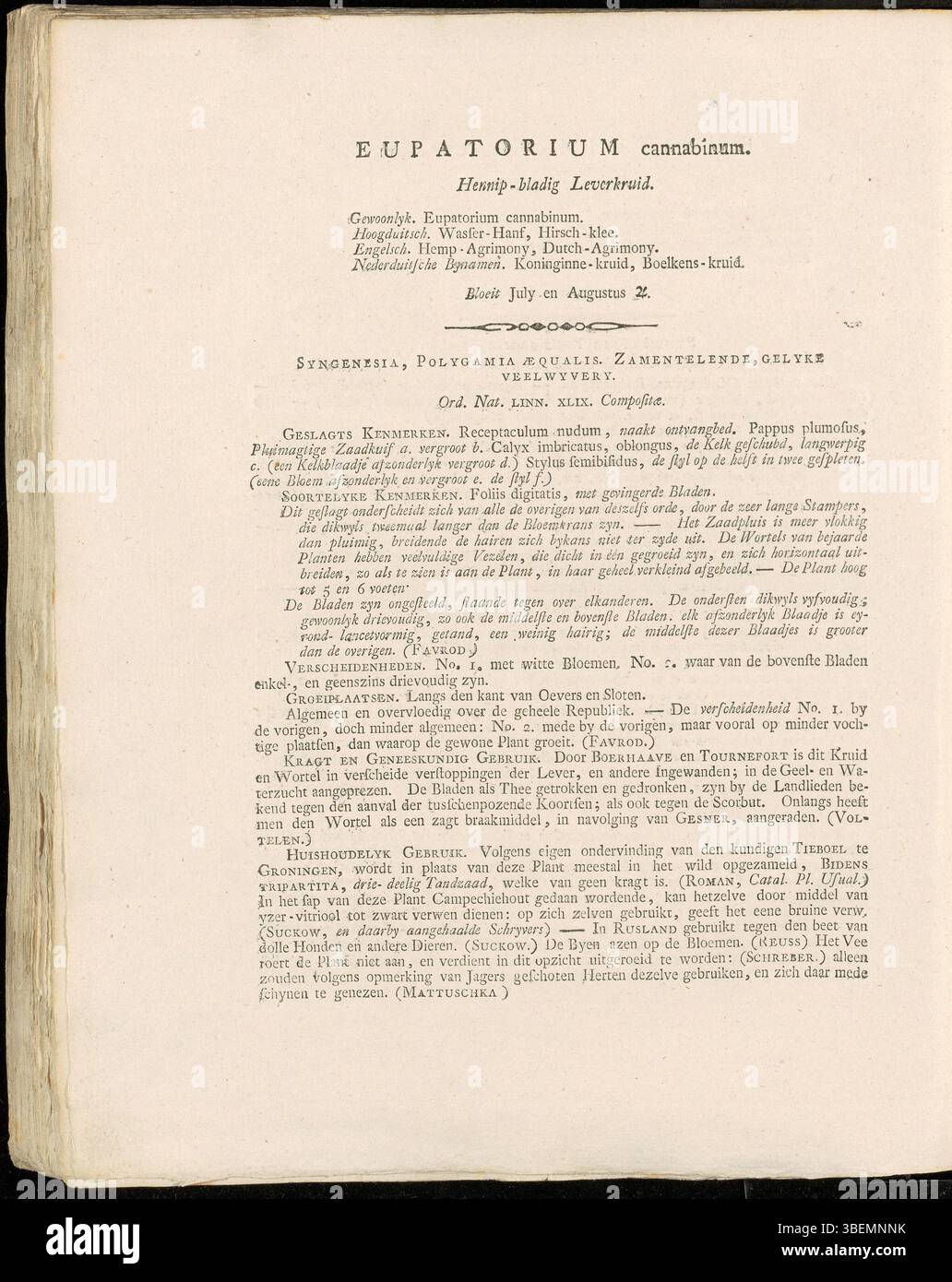 La planche 0078 de la Flora Batava, une œuvre botanique de Jan Kops (1765-1849), présente une description détaillée de l'Eupatorium cannabinum, communément appelé agrimonie de chanvre, une plante à fleurs originaire d'Europe. Cette entrée a été publiée en 1800. Banque D'Images