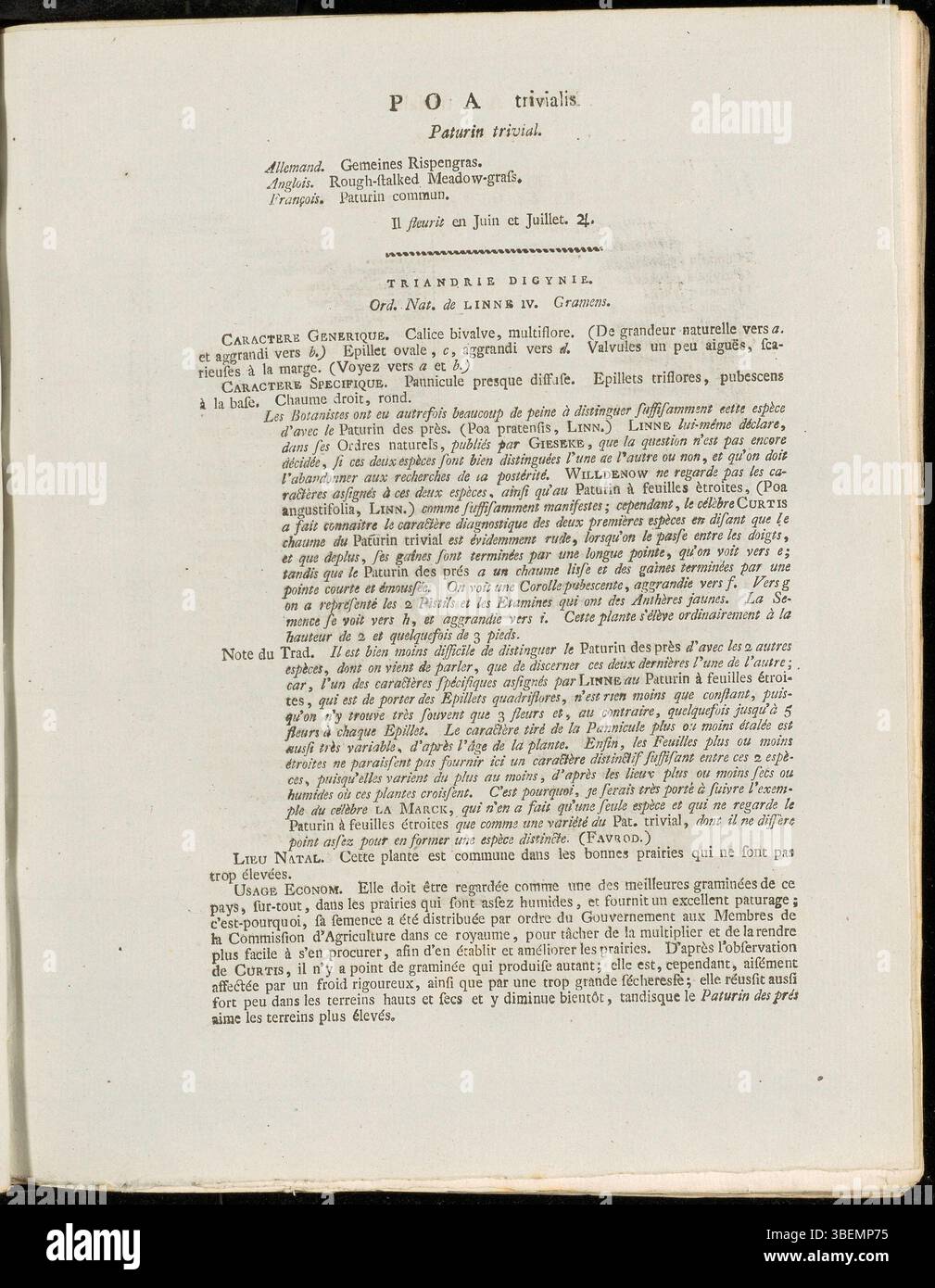 Une illustration botanique de Jan Kops de 1814, mettant en vedette Poa trivialis, un type d'herbe originaire d'Europe. Cette image fait partie de la Flora Batava, une collection d'espèces végétales hollandaises. Banque D'Images