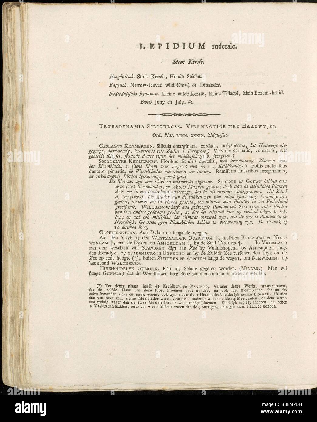 La planche 0045 de Flora Batava de Jan Kops (1765–1849) présente Lepidium ruderale, communément appelé poivre rudéral. Cette plante, souvent trouvée dans les sols perturbés, est décrite dans le travail botanique de Kops de 1800 avec des détails sur ses habitudes de croissance et ses préférences écologiques. Banque D'Images