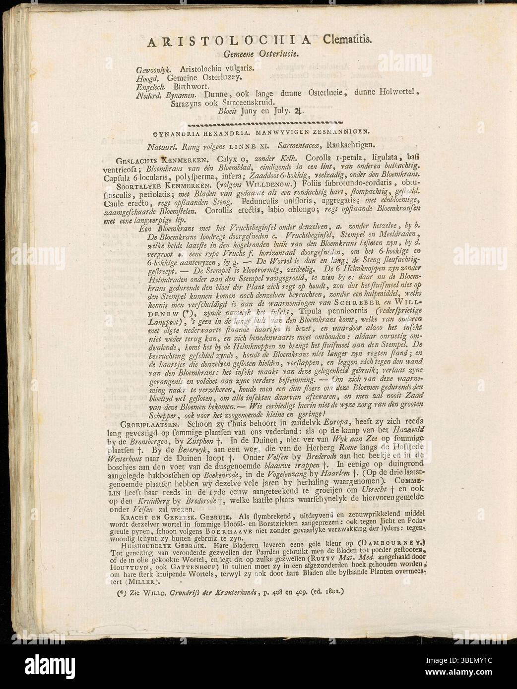 L’illustration de Jan Kops en 1807 de la *clématite d’Aristolochia*, communément connue sous le nom de Birthwort, met en valeur la structure florale unique de la plante et ses utilisations médicinales. Banque D'Images