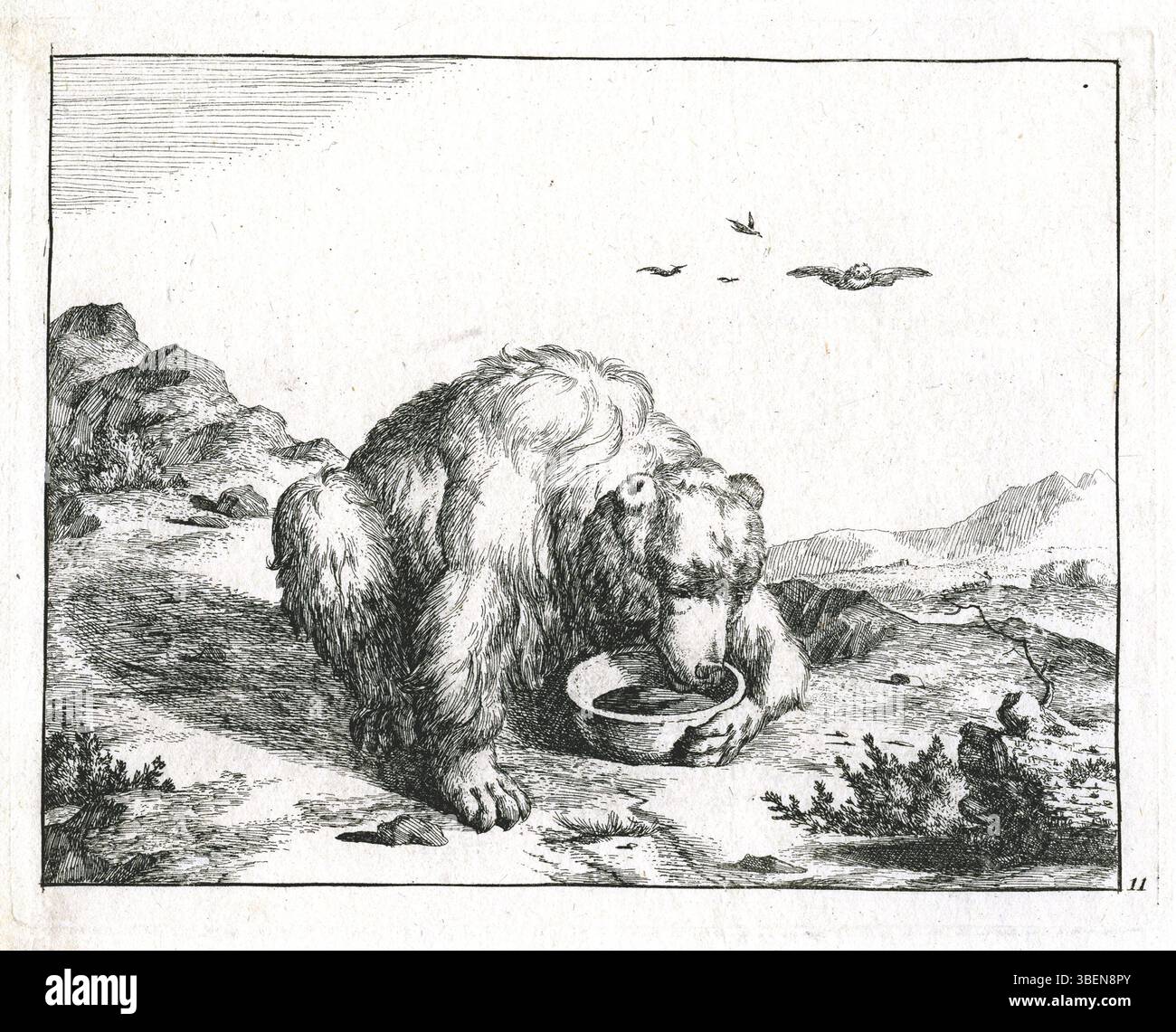 Cette œuvre, intitulée 'Drinking Bear' par Marcus de Bye (1639–c1690), date inconnue. L'œuvre montre un ours dans une pose à boire. Bye, un artiste du XVIIe siècle, était connu pour ses représentations animales détaillées et expressives. Cette pièce spécifique est logée sous la marque PK-P-112,746 et référencée dans les travaux savants. Banque D'Images