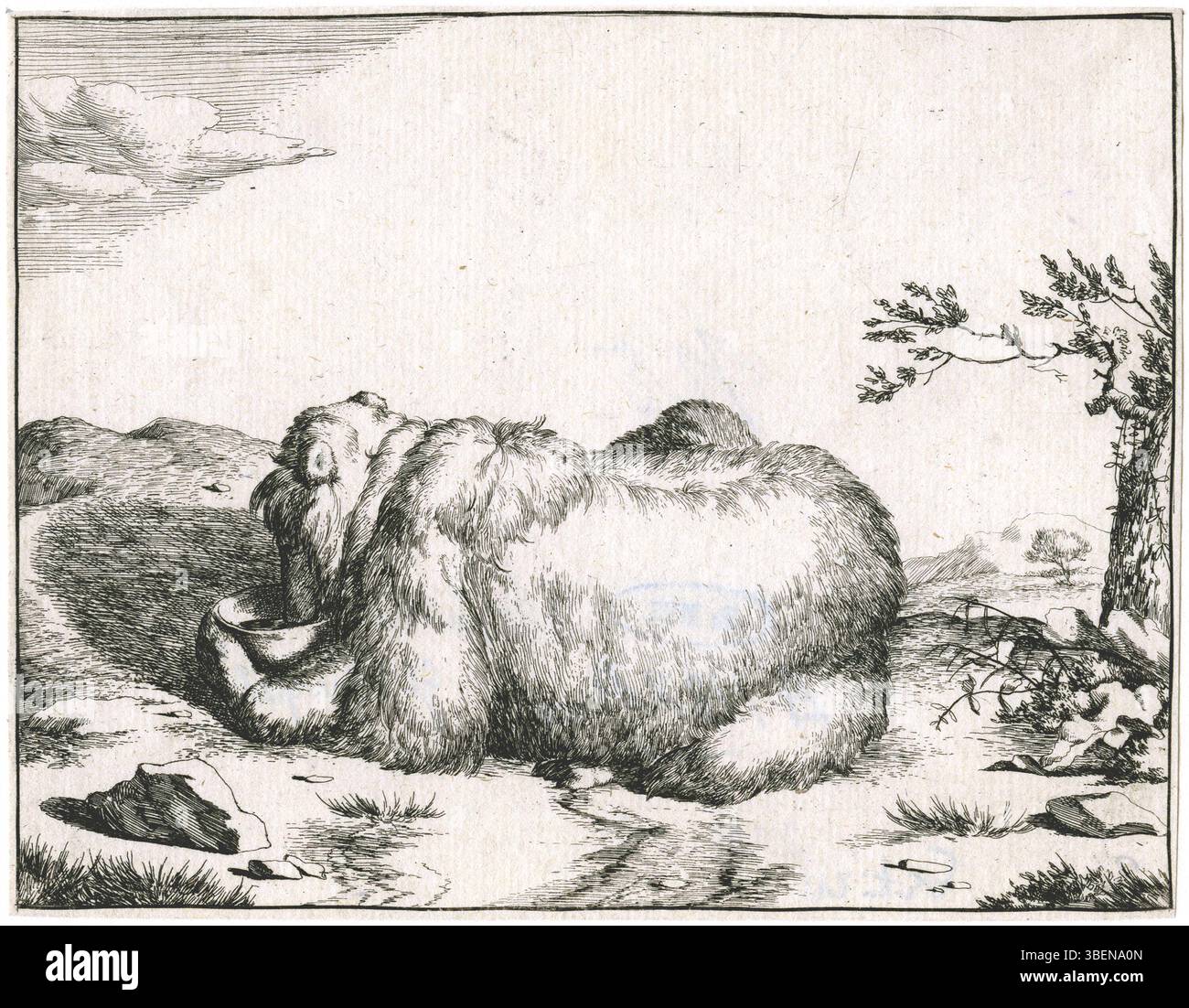 'Drinkende Beer' de Marcus de Bye représente un ours buvant dans un récipient. L'œuvre est attribuée au XVIIe siècle, associée à Marcus de Bye, et reflète son style unique. Banque D'Images