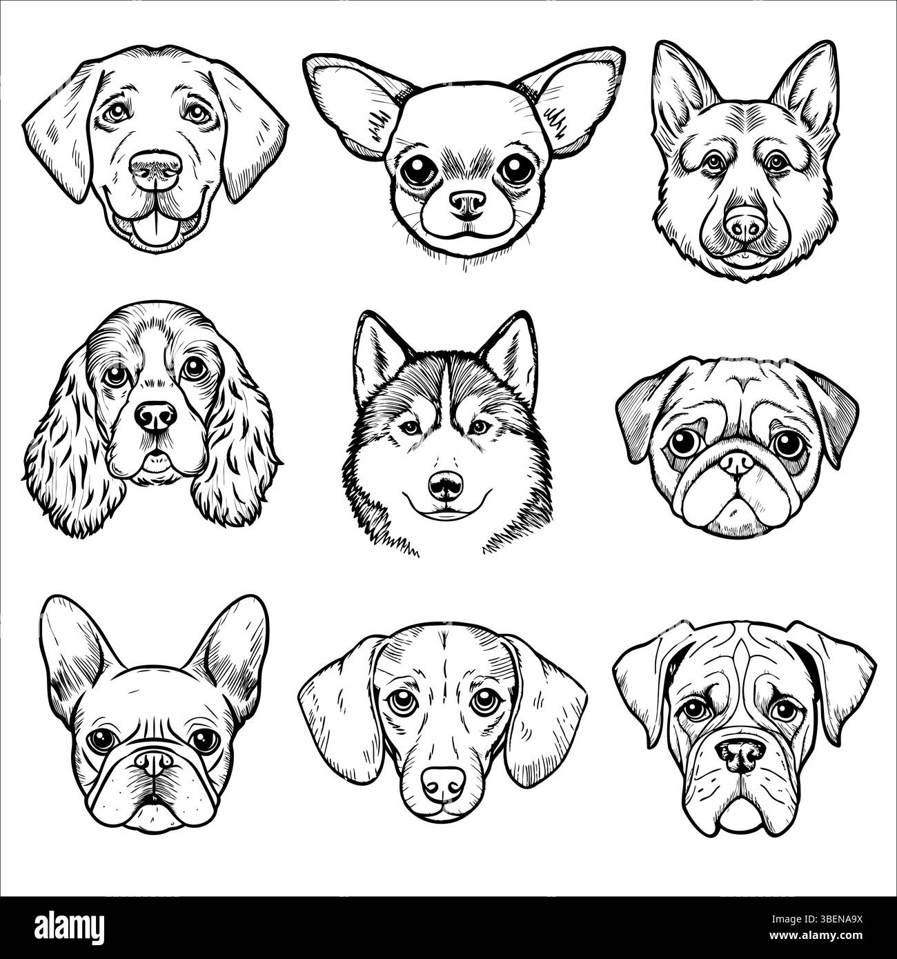 Une collection de visages de chiens illustrés dans une grille. Les races incluent Labrador, Chihuahua, Berger allemand, Cocker Spaniel, Husky sibérien, PUG, français Illustration de Vecteur