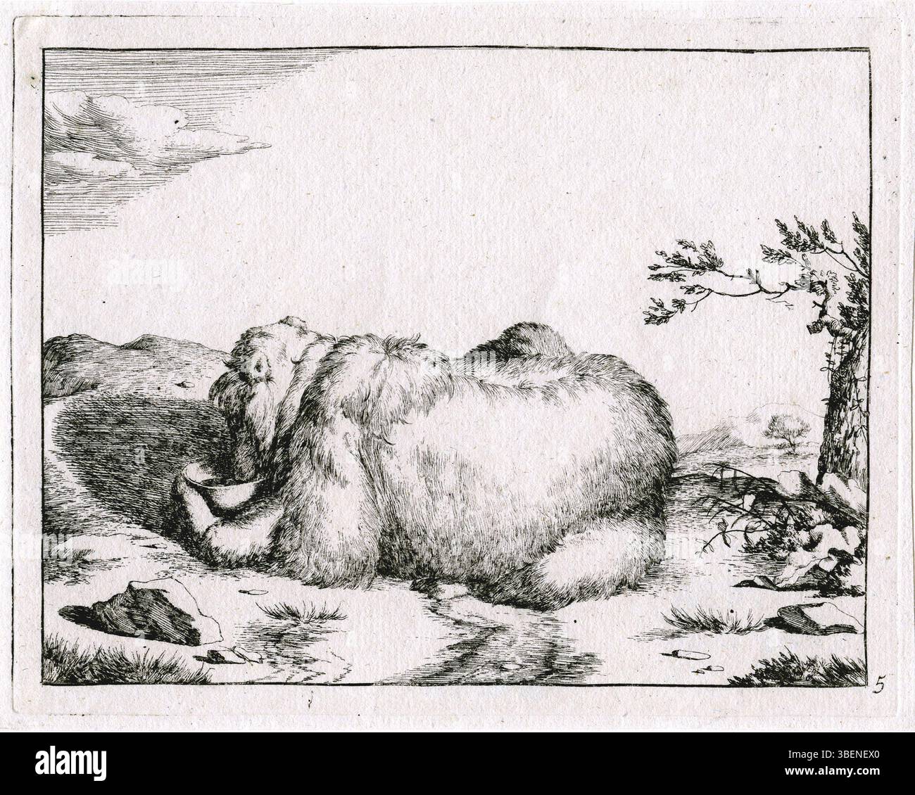 Une pièce intitulée « bière Drinkende » par Marcus de Bye, représentant un ours buvant. L'œuvre a été créée entre 1600 et 1690. Banque D'Images