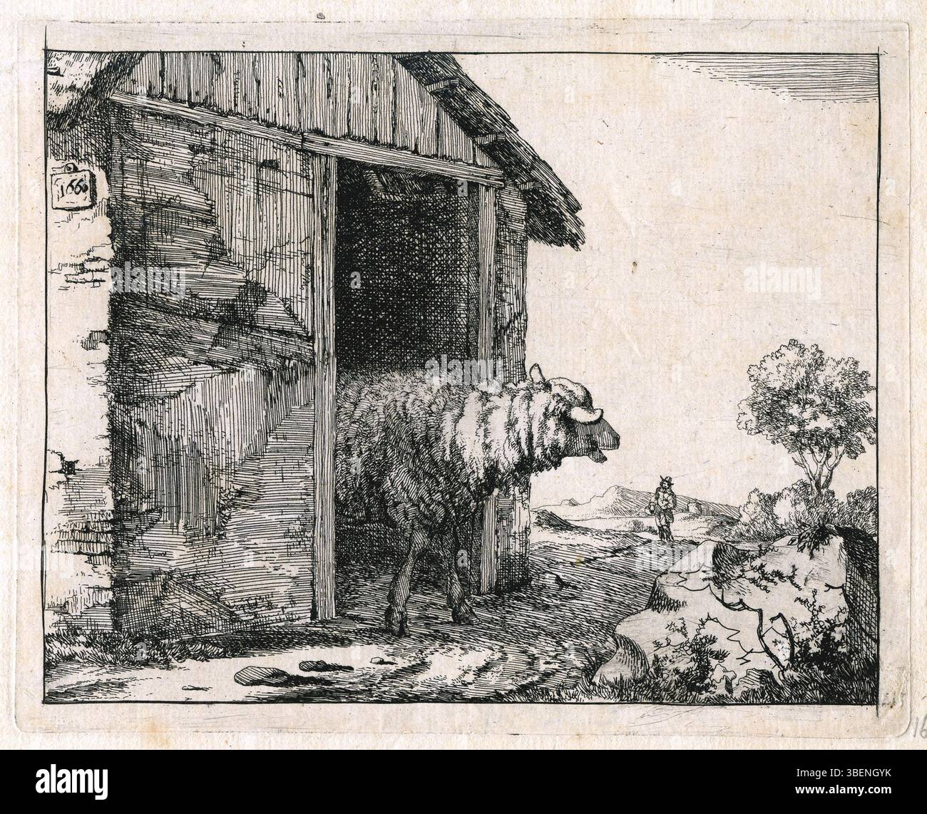 'Een schaap dat UIT een stal komt' (Un mouton sortant d'une écurie) est un dessin de Marcus de Bye, créé entre 1600 et 1690. L'œuvre représente un mouton quittant une écurie, montrant l'attention de Bye pour le comportement naturel des animaux. Banque D'Images