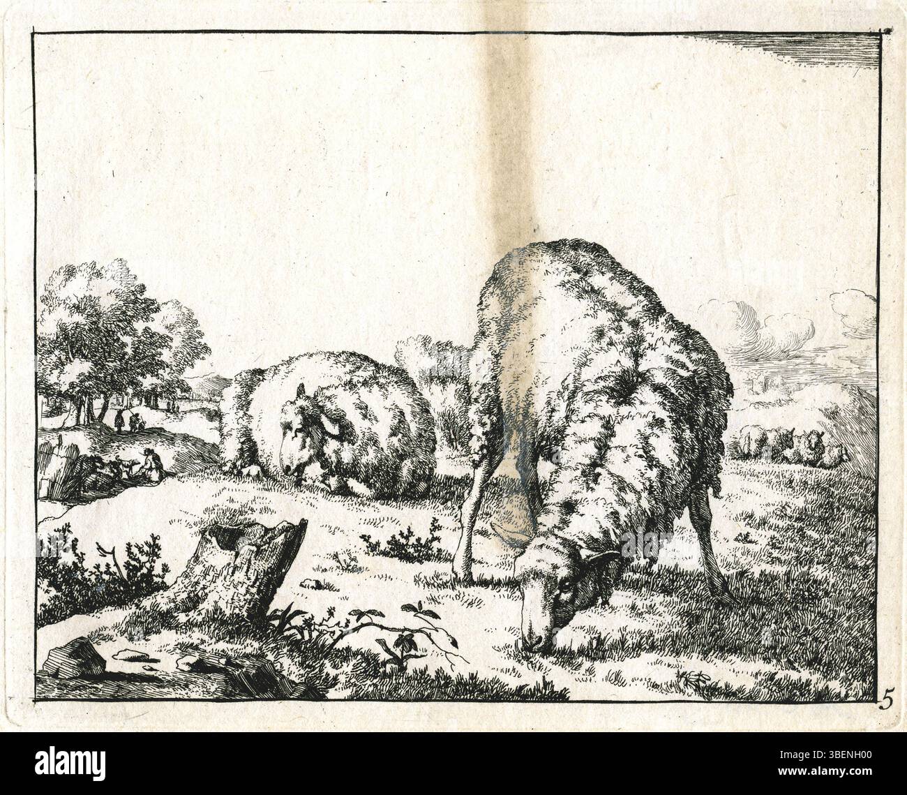 Cette œuvre de Marcus de Bye, un artiste néerlandais du XVIIe siècle, représente un mouton en pâturage et au repos. La composition met en évidence l'habileté de l'artiste à capturer les scènes paisibles et pastorales typiques des paysages ruraux hollandais de cette période. Banque D'Images