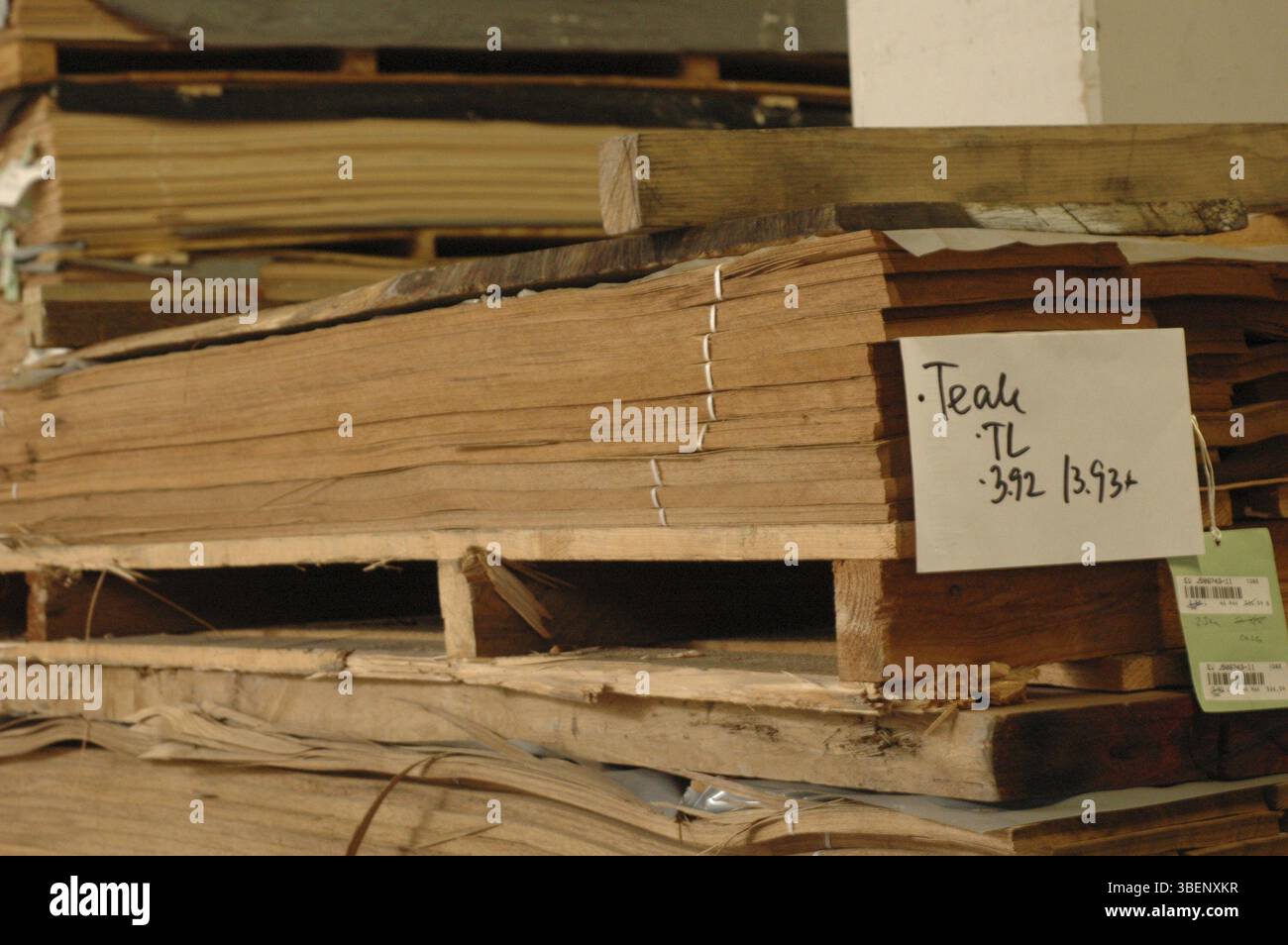 Palette en teck (Tectona grandis) Banque D'Images