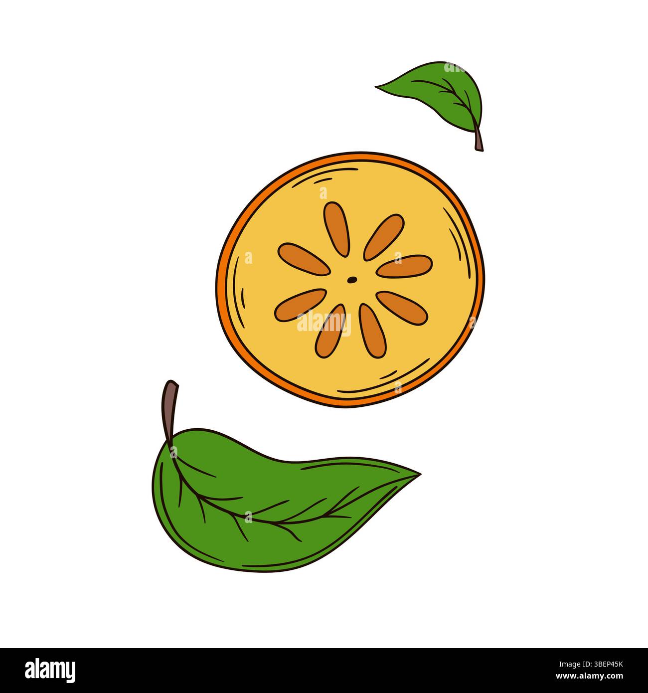 Illustration de fruits mignons dans le style de dessin à la main. Icône de kaki sur fond blanc. Conception Illustration de Vecteur