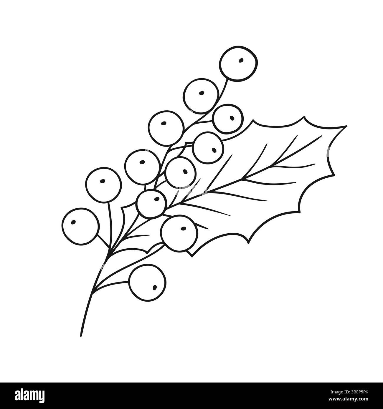 Illustration mignonne de baies dans le style de dessin à la main. Monochrome. Icône Holly sur fond blanc. Conception pour livres de coloriage, jeux pour enfants Illustration de Vecteur