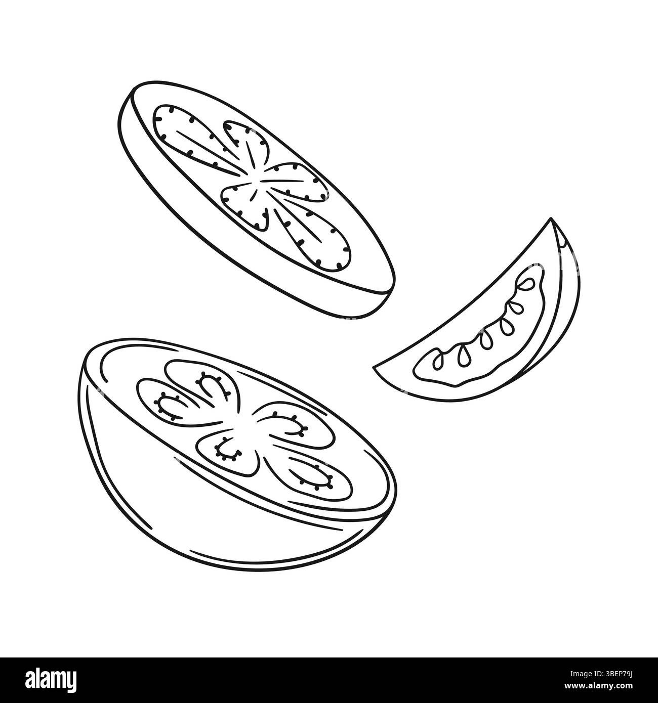 Illustration végétale mignonne dans le style de dessin à la main. Monochrome. Icône tomate sur fond blanc. Conception pour livres de coloriage, jeu d'enfants Illustration de Vecteur