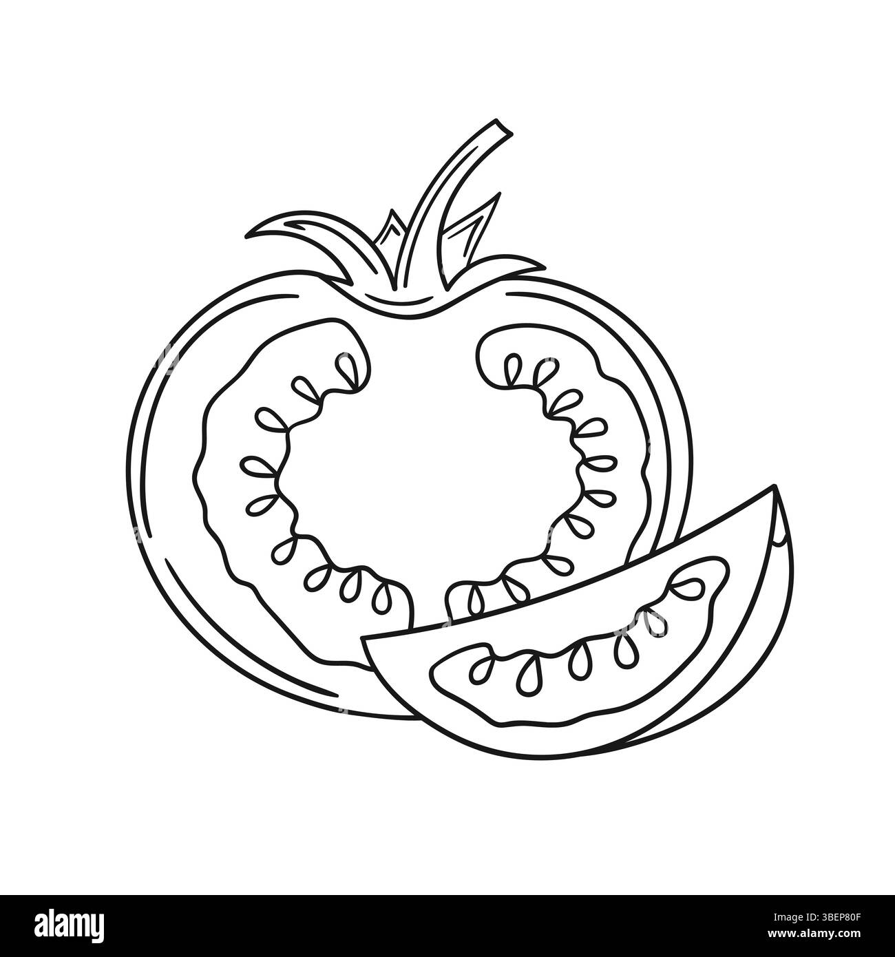 Illustration végétale mignonne dans le style de dessin à la main. Monochrome. Icône tomate sur fond blanc. Conception pour livres de coloriage, jeu éducatif pour enfants Illustration de Vecteur