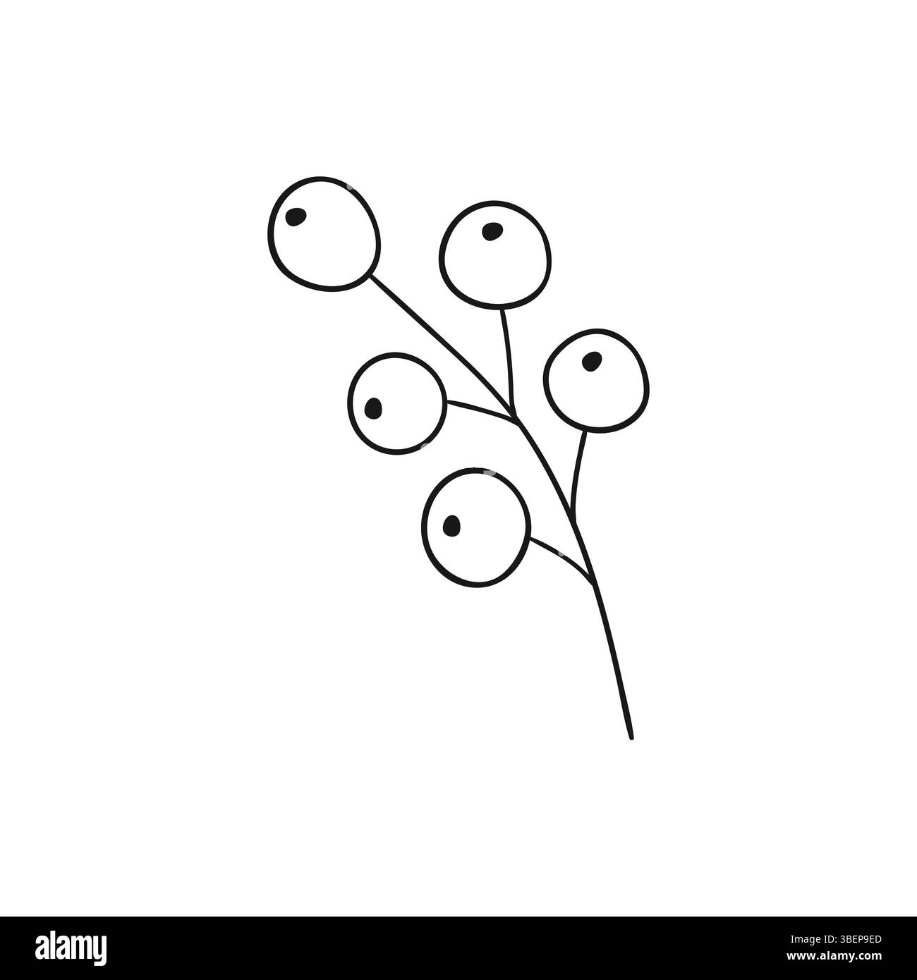 Icône Holly sur fond blanc. Illustration mignonne de baies dans le style de dessin à la main. Monochrome. Conception pour livres de coloriage, jeux éducatifs pour enfants. Icône, Illustration de Vecteur