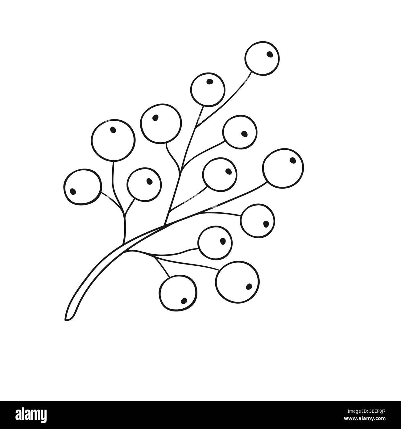 Icône Holly sur fond blanc. Illustration mignonne de baies dans le style de dessin à la main. Monochrome. Conception pour livres de coloriage, jeux pour enfants Illustration de Vecteur