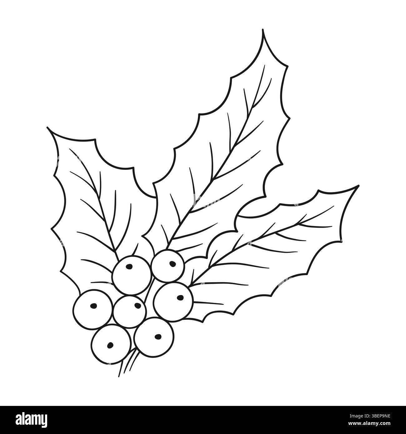 Icône Holly sur fond blanc. Illustration mignonne de baies dans le style de dessin à la main. Monochrome. Conception pour livres de coloriage, jeux éducatifs pour enfants. Icône, Illustration de Vecteur