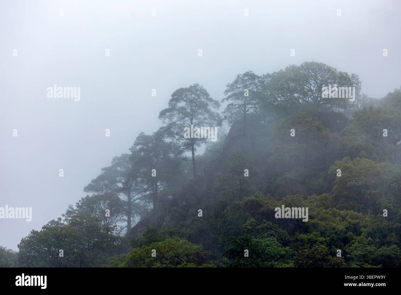 Montagnes brumeuses al El Tepozteco. Amatlán, Morelos, Mexique Banque D'Images