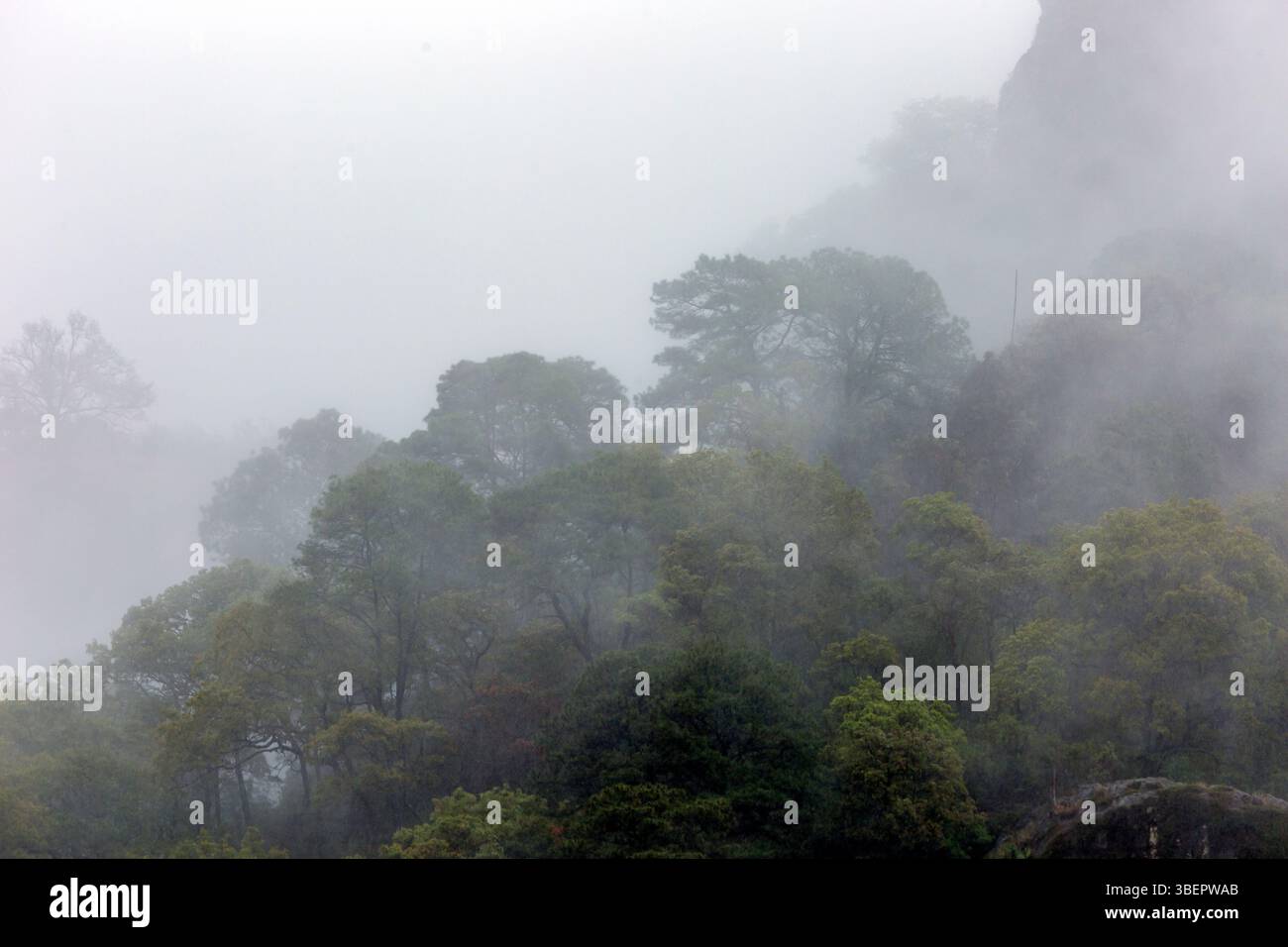 Montagnes brumeuses al El Tepozteco. Amatlán, Morelos, Mexique Banque D'Images
