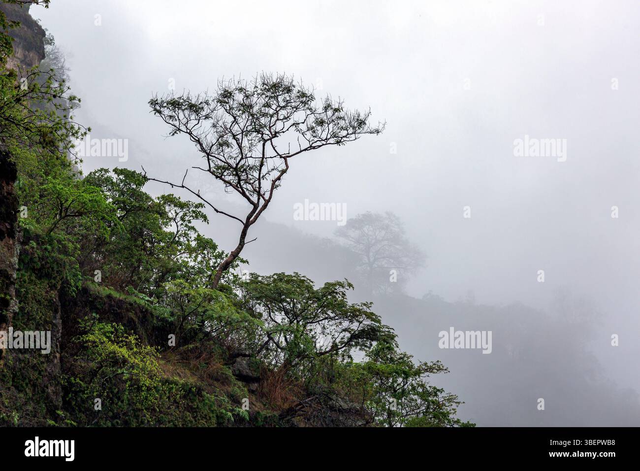 Montagnes brumeuses al El Tepozteco. Amatlán, Morelos, Mexique Banque D'Images