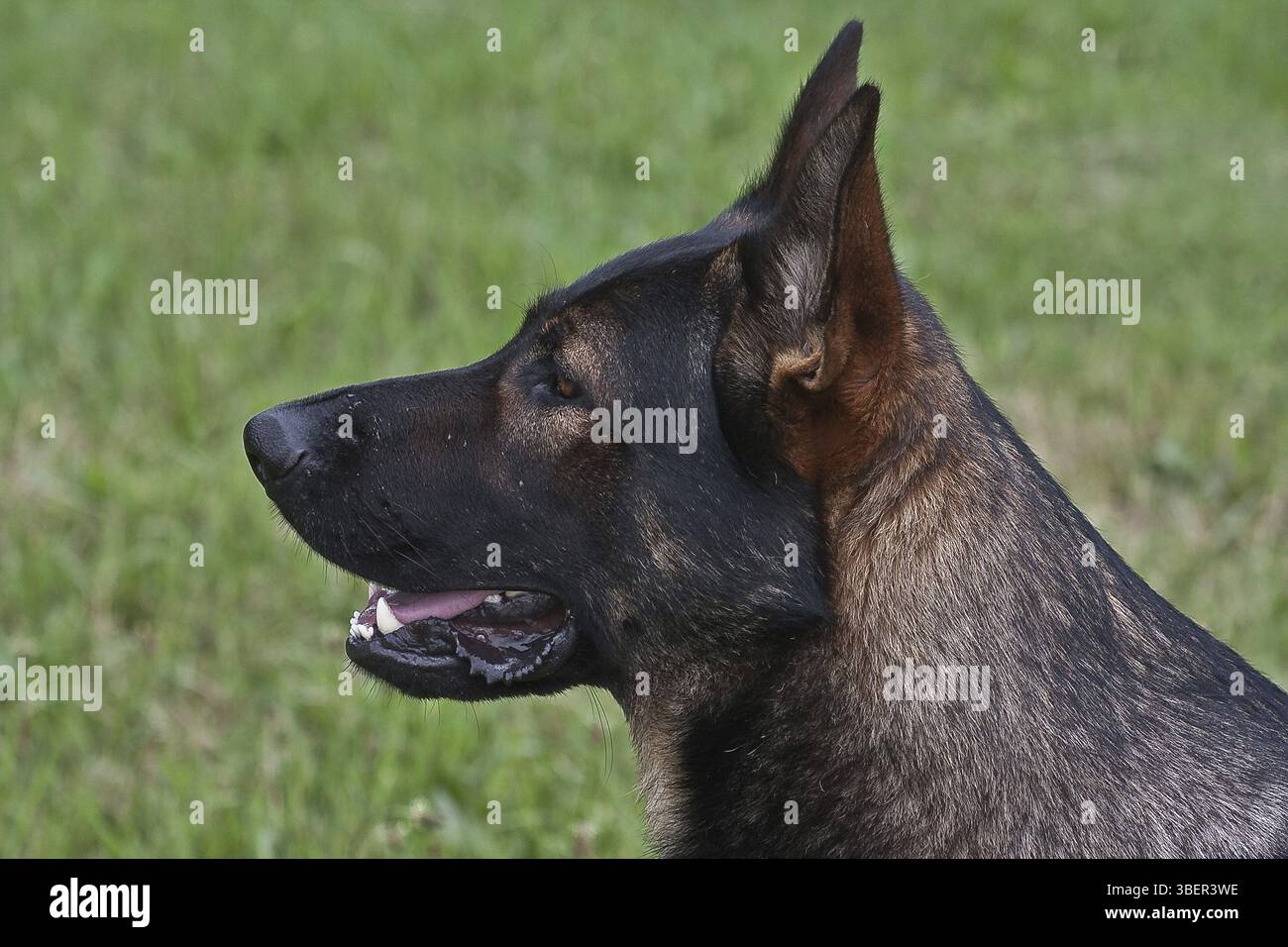 Où êtes-vous ?  ? Banque D'Images