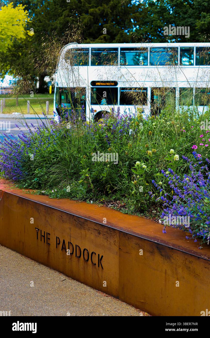 Jardins publics à Chatham à côté de la gare routière, Brooke Theatre et la principale zone commerçante et centre des villes Medway dans le Kent, près de Londres Banque D'Images