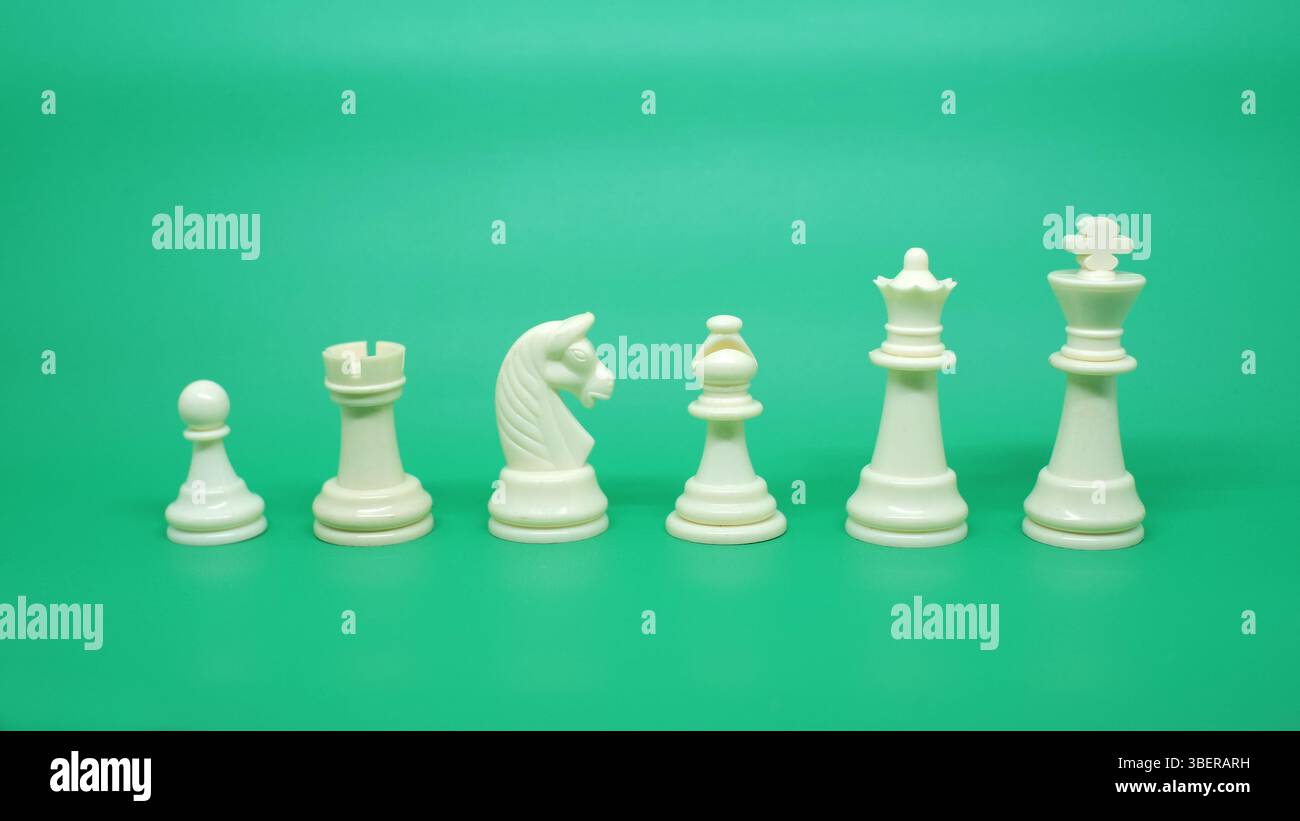 L'arrangement des pièces d'échecs allant de pions, tours, chevalier, évêque, reines, et les rois isolés sur un green. Banque D'Images