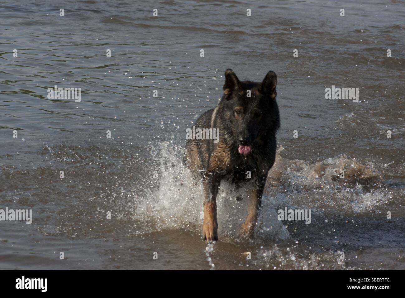 Je donne tout Banque D'Images