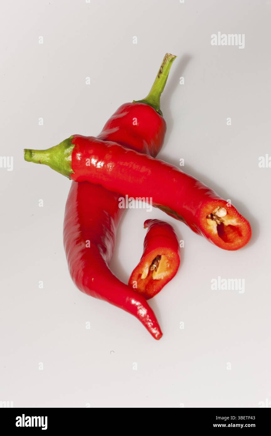 Piments (Capsicum annuum) Banque D'Images