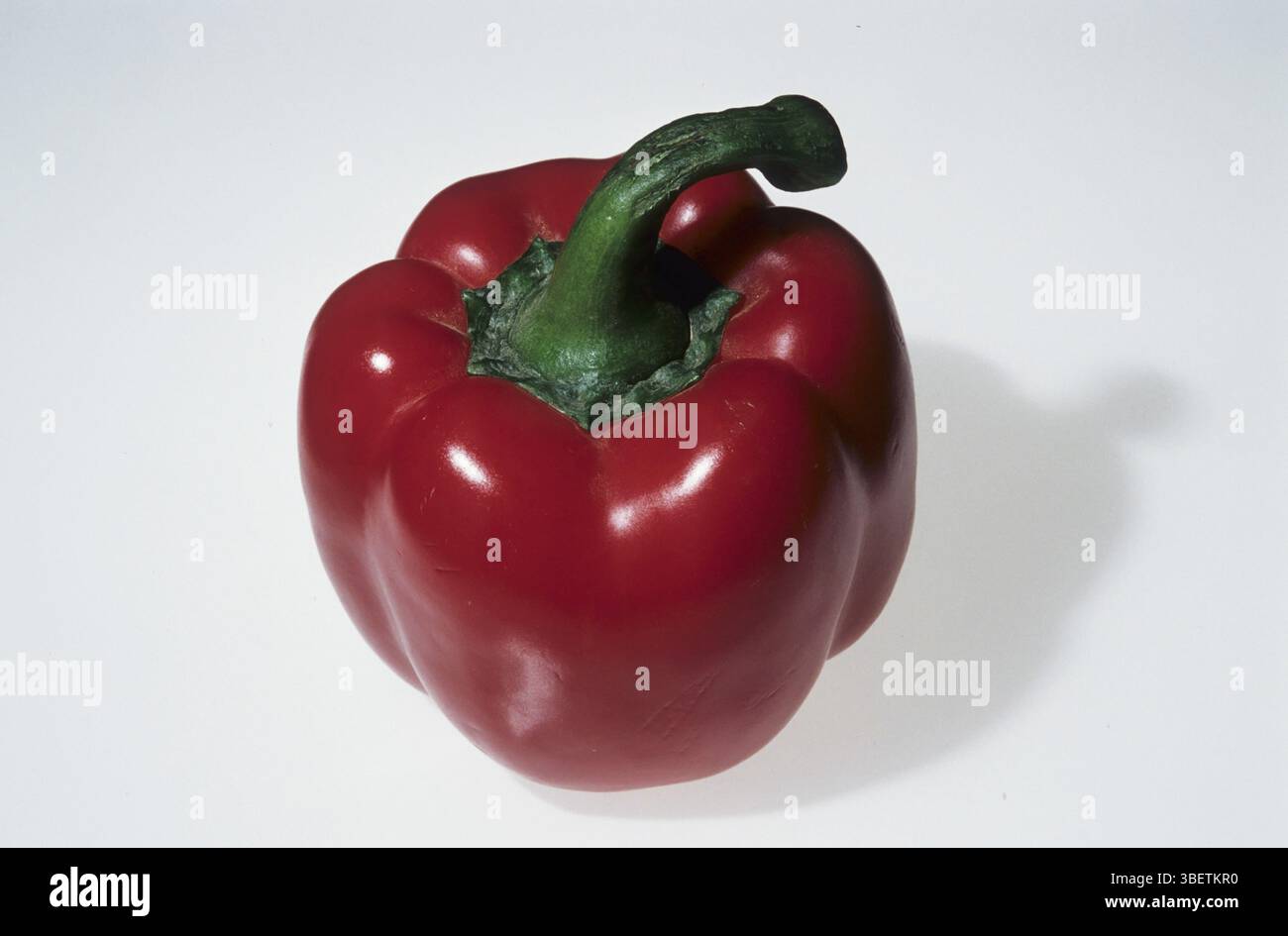 Paprika (Capsicum annuum) Banque D'Images