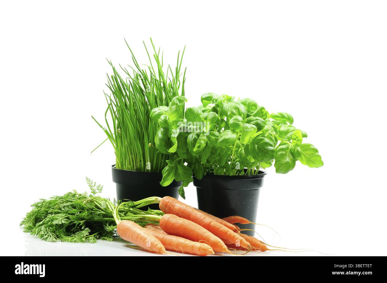 Légumes (Vegetabilis) Banque D'Images