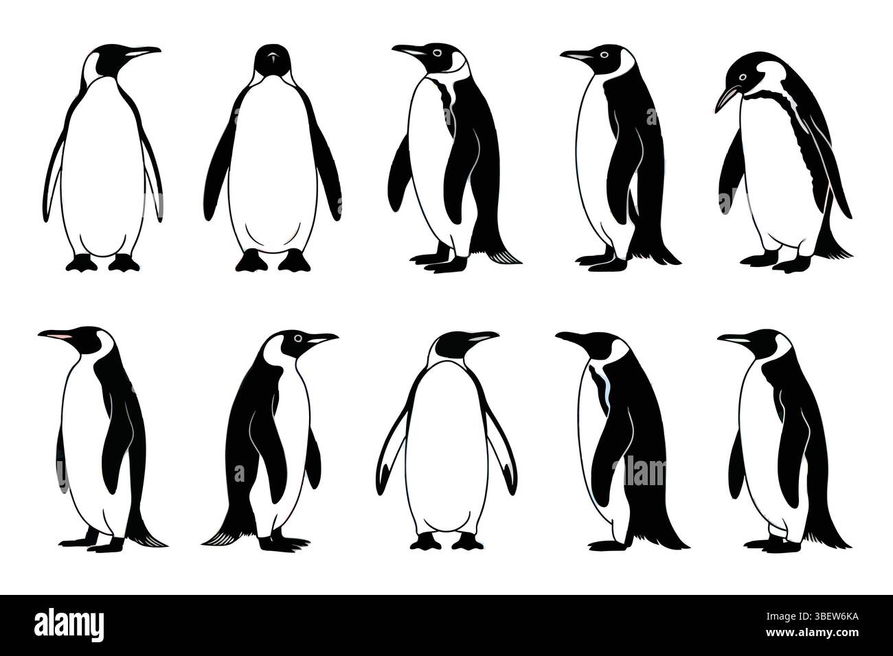 Pingouins en groupes de paires isolées avec différents angles debout dans le format silhouette Illustration de Vecteur