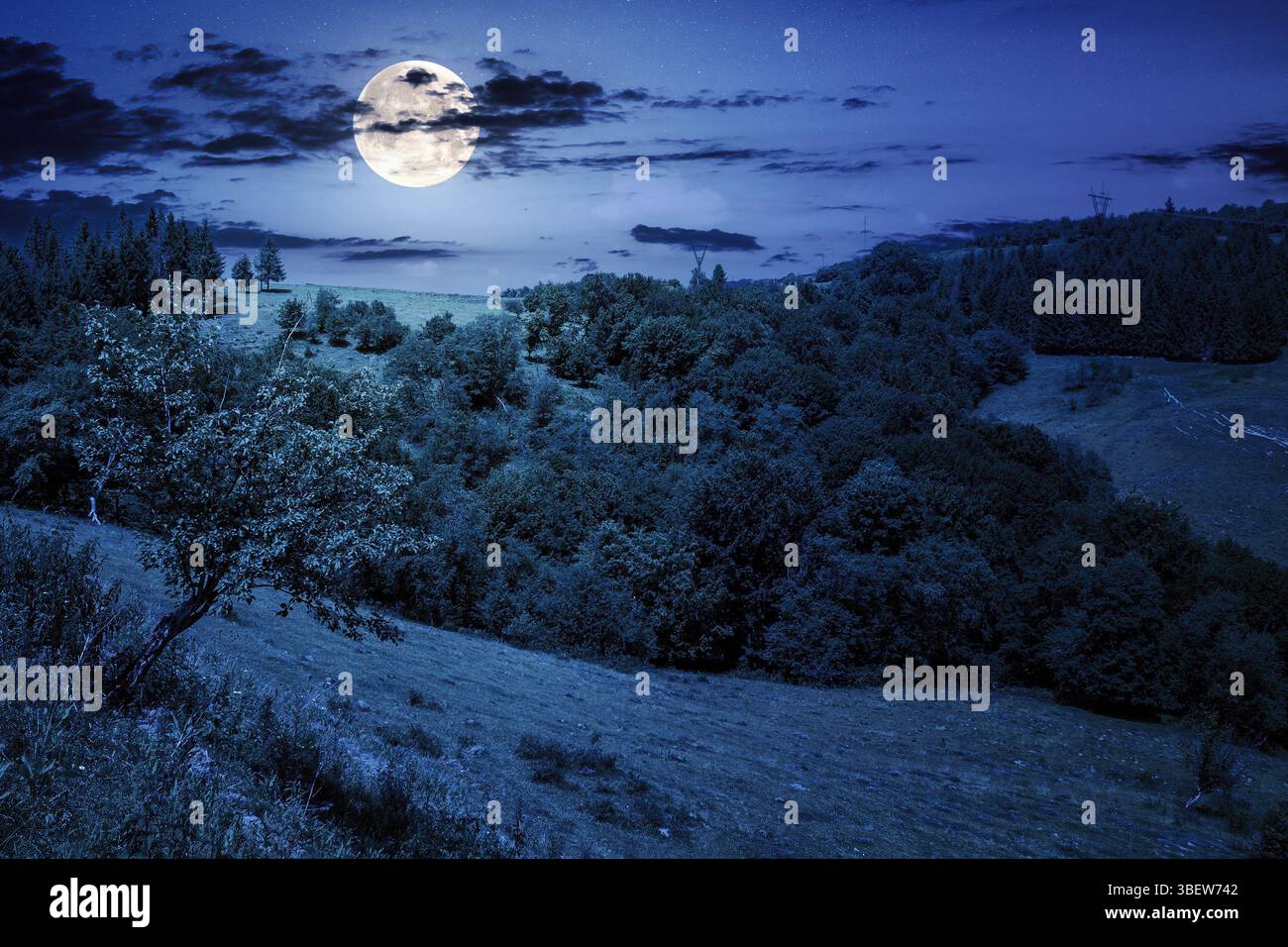 paysage de campagne tranquille avec forêt sur la colline en été la nuit. aventure panoramique en plein air à la lumière de la pleine lune Banque D'Images paysage de campagne tranquille avec forêt sur la colline en été la nuit. aventure panoramique en plein air à la lumière de la pleine lune Banque D'Images