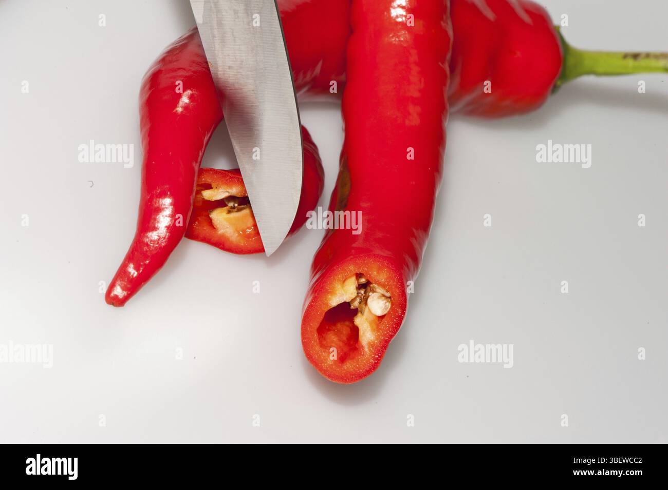 Plus chaud (Capsicum annuum) Banque D'Images
