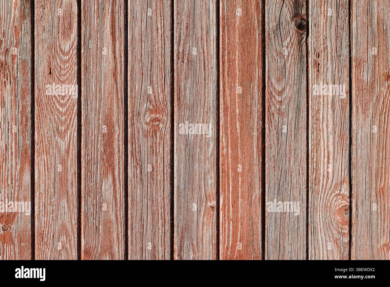 Planches en bois naturel avec une finition altérée, mettant en valeur des textures rustiques et des tons terreux, parfaites pour les arrière-plans, les papiers peints et les modèles de conception Banque D'Images