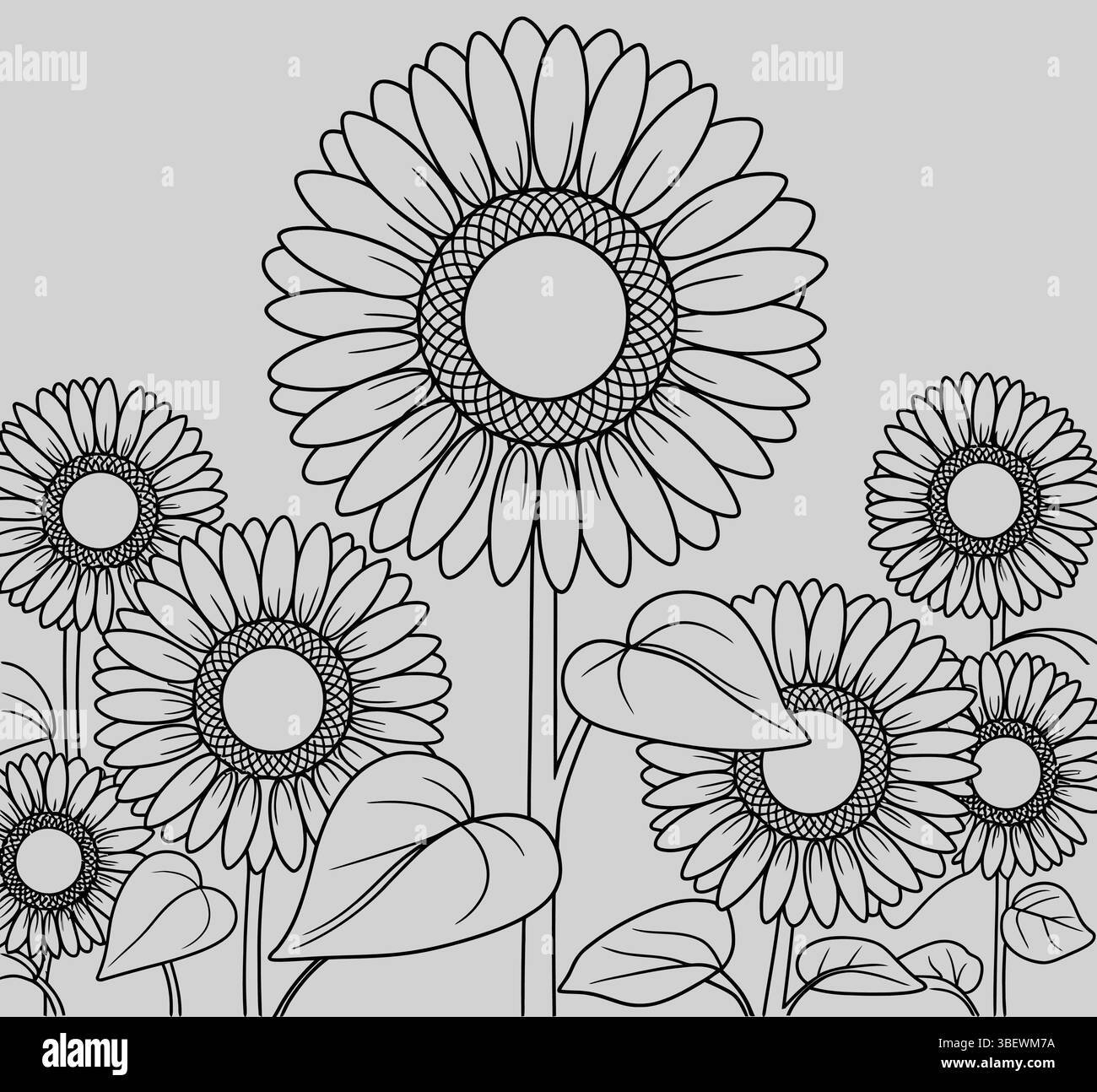 Une illustration détaillée de dessin au trait présente un groupe de tournesols en pleine floraison, capturant leur beauté emblématique et leur structure géométrique. Illustration de Vecteur
