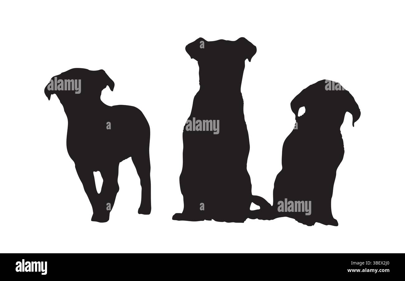 Trio silhouetté de chiens représentés sur un fond blanc foncé, chacun présentant une posture unique. Illustration de Vecteur