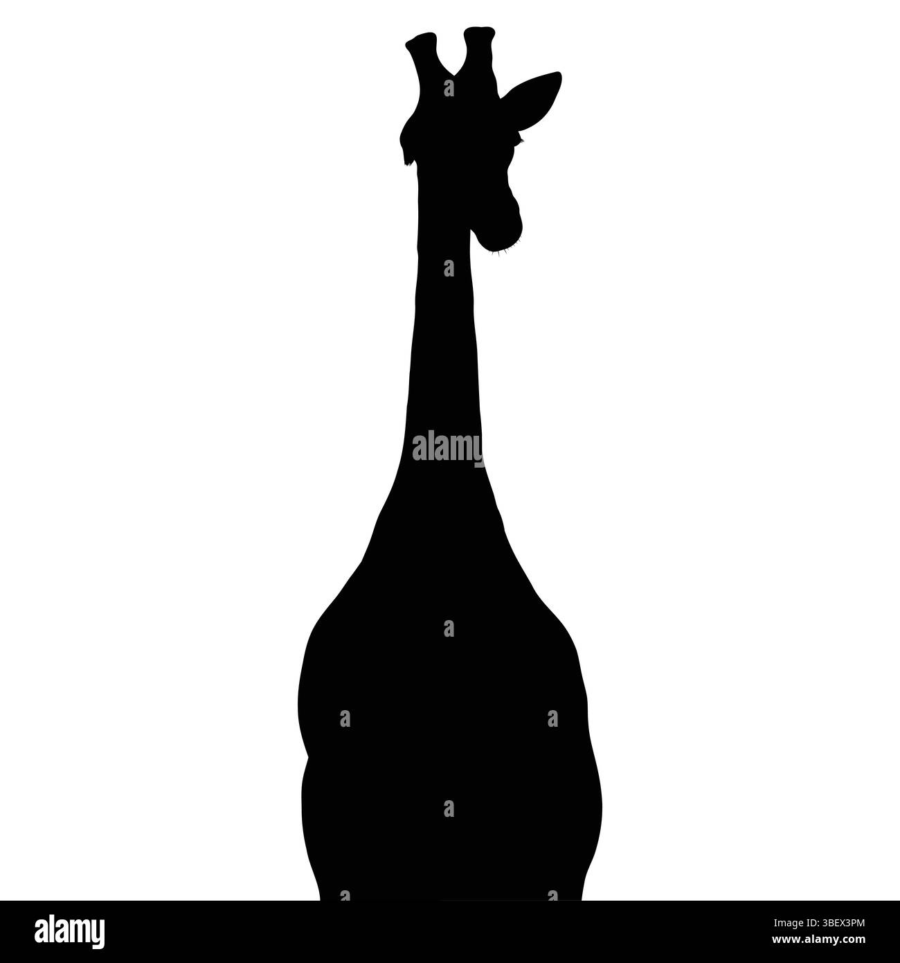 Silhouette frappante d'une gracieuse girafe, isolée sur un fond blanc éclatant, animal équipé Illustration de Vecteur