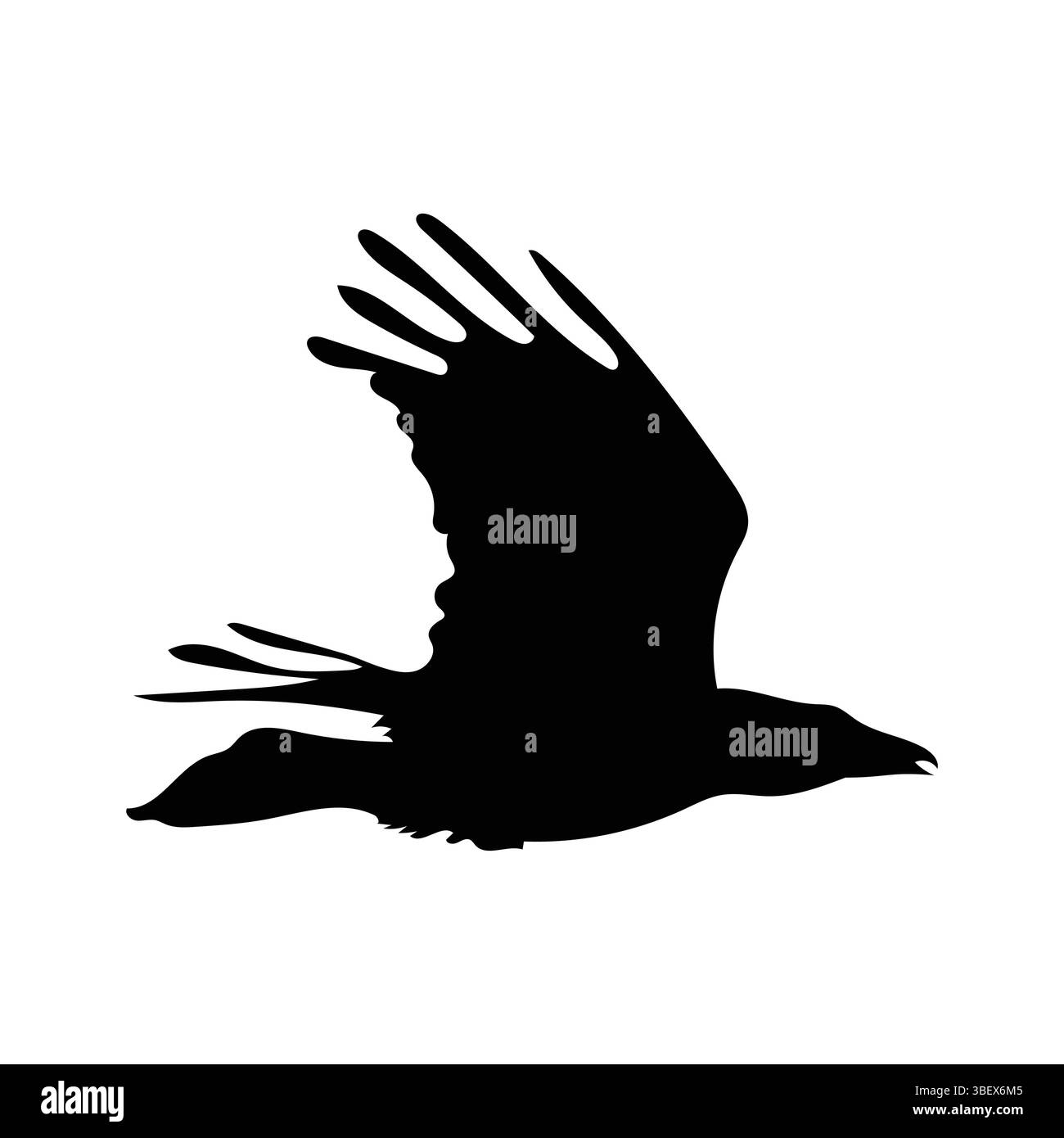 Silhouette de corbeau volant sur un fond blanc dur, soulignant la liberté et le mystère. Illustration de Vecteur