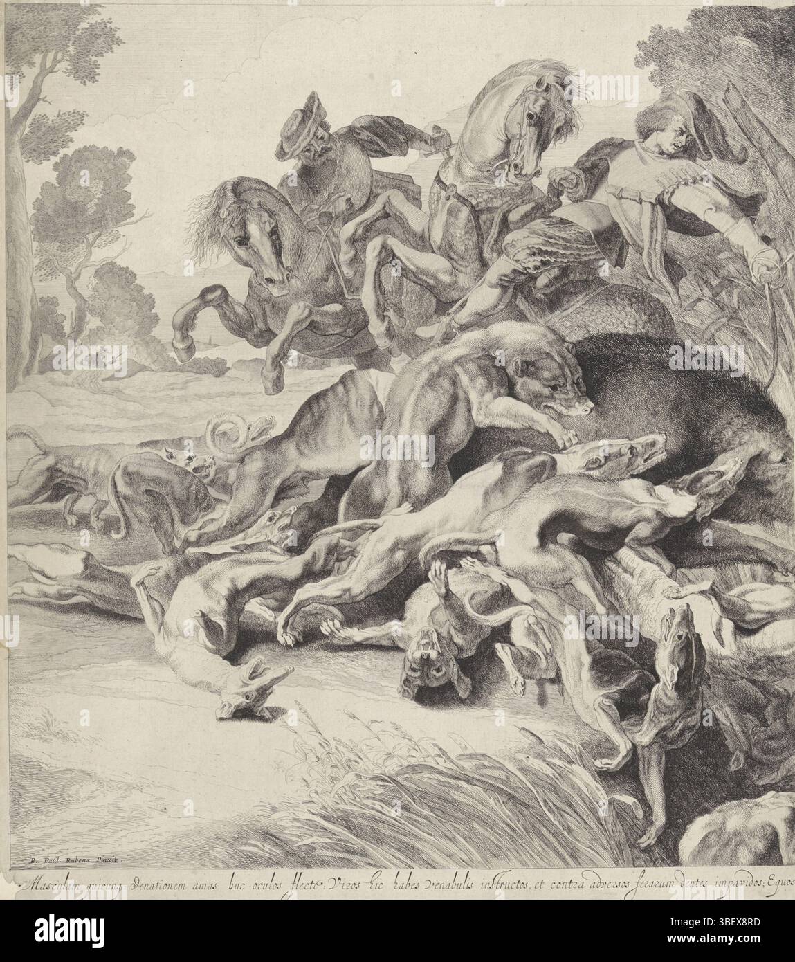 Soutman, Pieter Claesz., Rubens, Peter Paul, Soutman, chasse au sanglier (plaque gauche), verso en bas à gauche - estampillé, de son cheval de ramassage un cavalier poignarda un sanglier avec son épée. Un deuxième chasseur à cheval s'approche derrière lui. Un gros paquet de chiens se jette sur le cochon. Partie gauche d'une grande performance composée de deux parties. Ci-dessous dans la marge moitié d'un verset en latin sur le yacht., impression, hauteur 458 mm, largeur 403 mm, nord-néerlandais, 1601 - 1657-08-16, graveur, 1642 - 1642, papier, gravure, gravure, gravure (procédé d'impression), Sud-néerlandais, 1577-06-28 - 1640-05-30, après, après pa Banque D'Images
